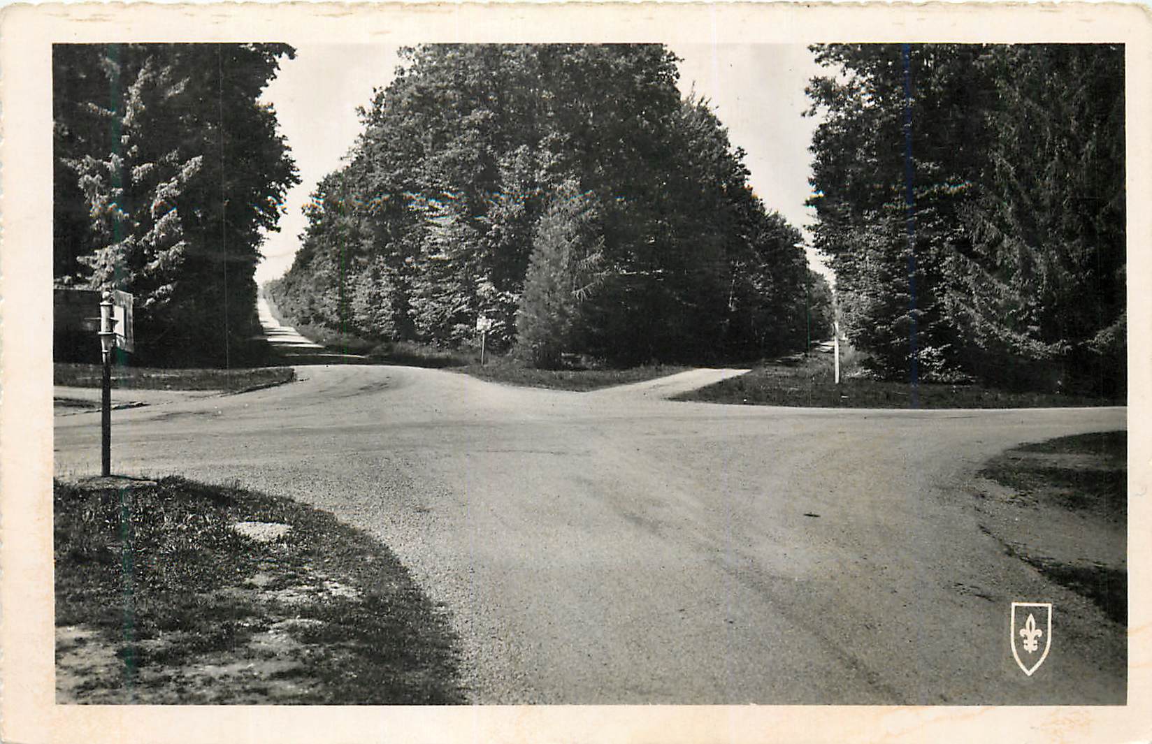 CPM Foret de Troncais Allier Carrefour du Rond Gardien