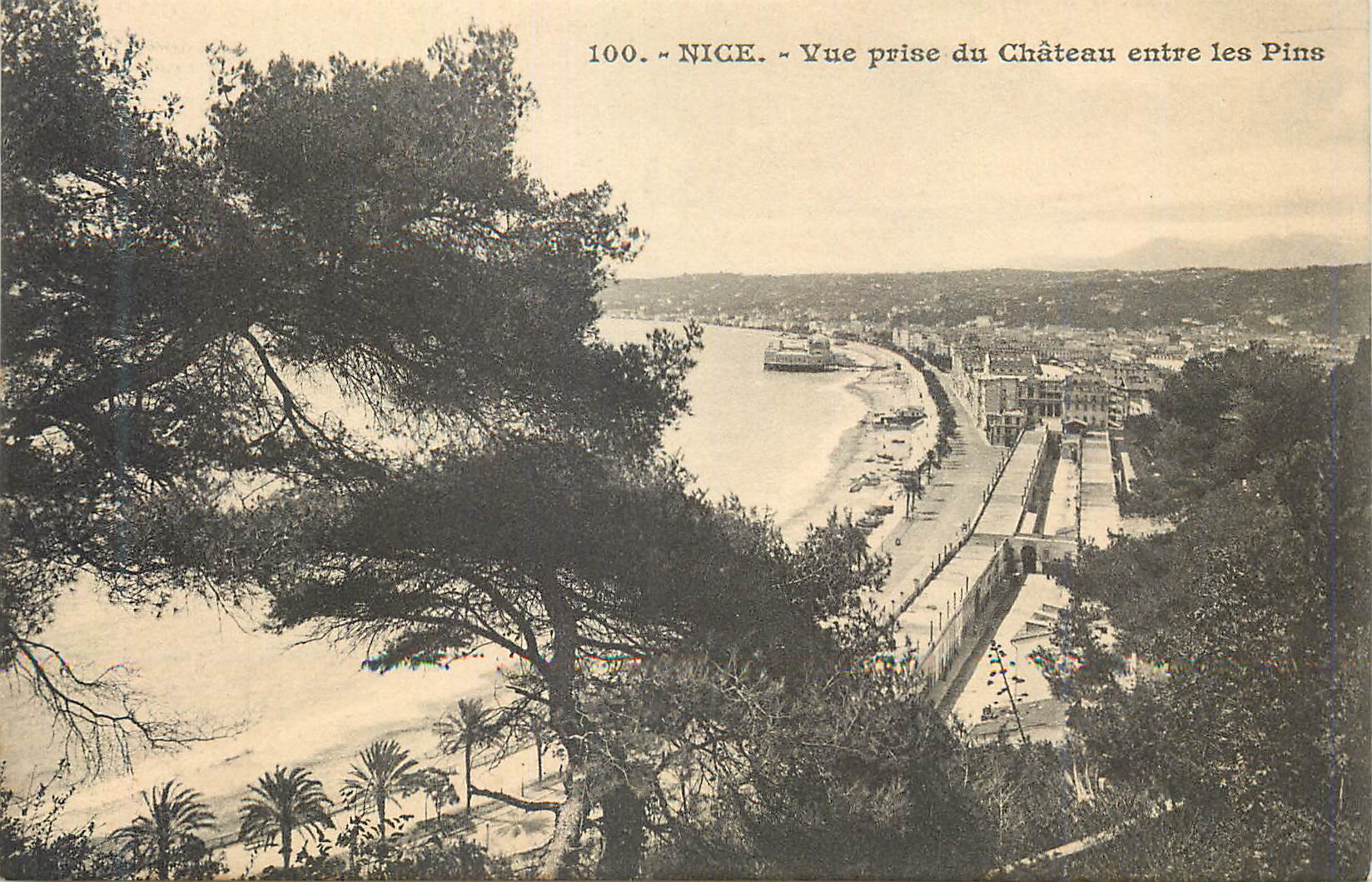 CPA Nice Vue prise du Chateau entre les Pins
