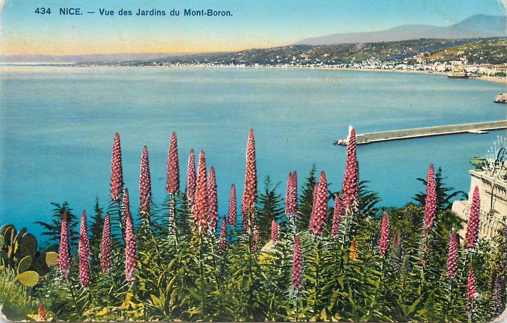 CPA Nice Vue des Jardins du Mont Boron