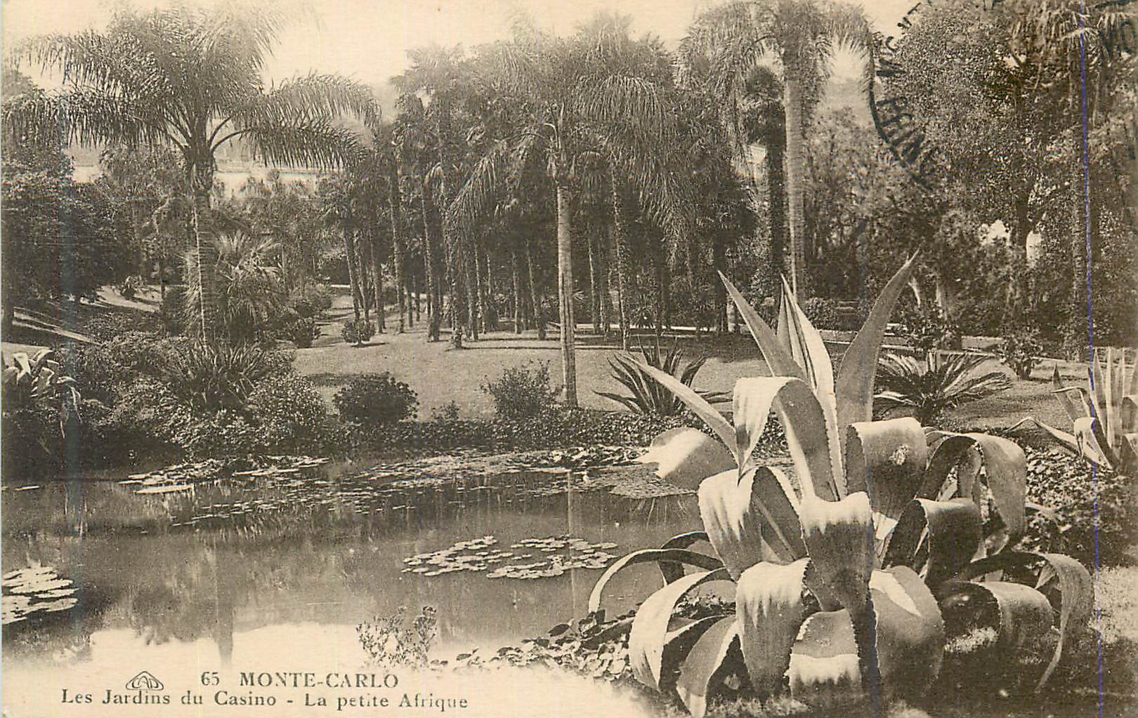 CPA Monte Carlo Les Jardins du Casino La petite Afrique