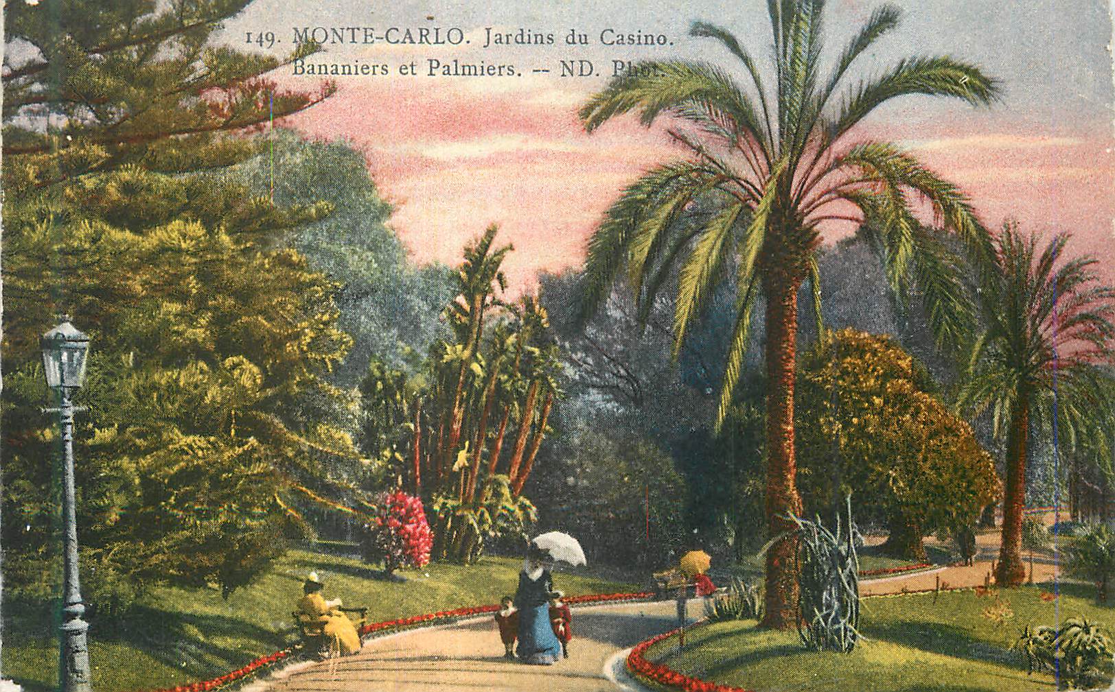 CPA Monte Carlo Jardins du Casino Bananiers et Palmiers