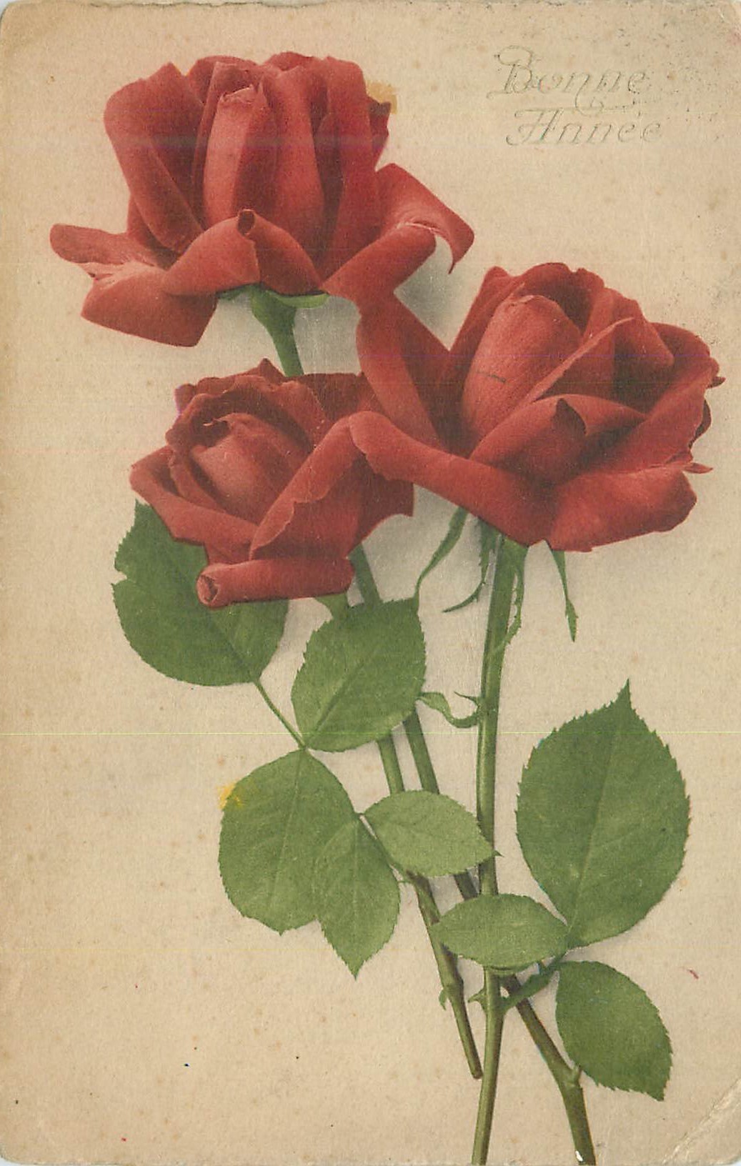 CPA Bonne Annee Fleurs Rose