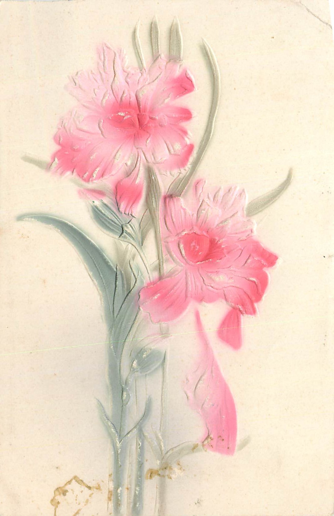 CPA Fleurs