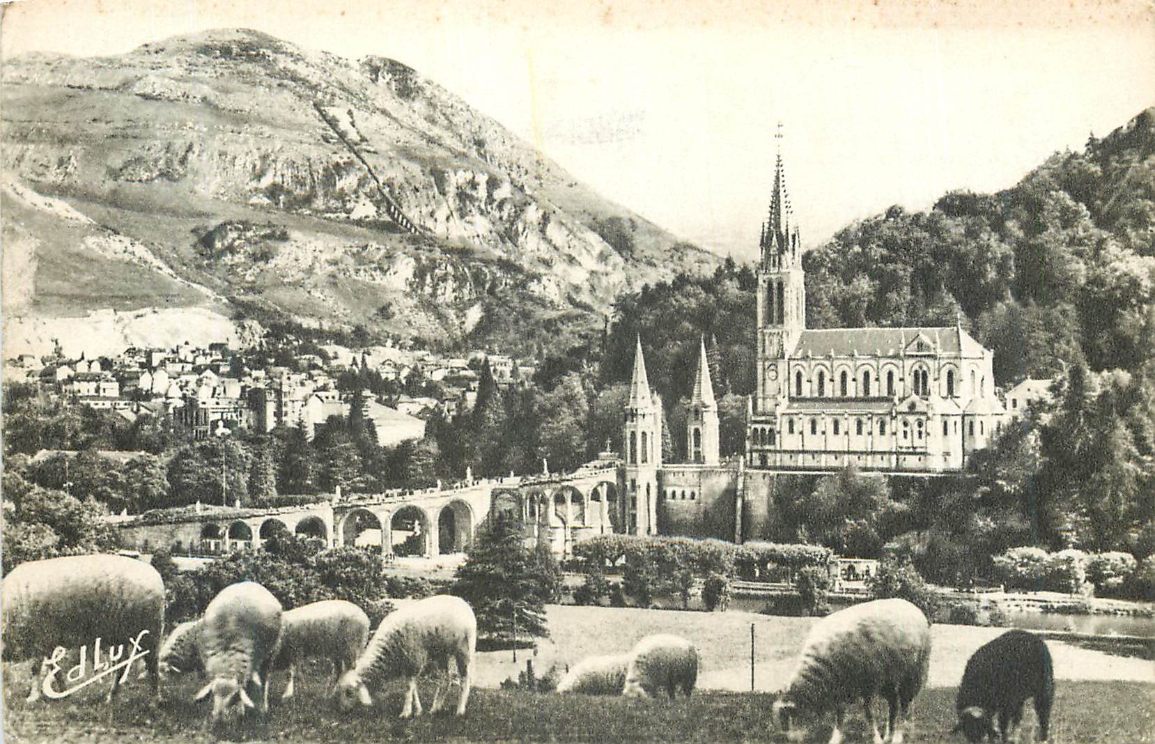 CPA Lourdes La Basilique et le Pic du Jer Moutons
