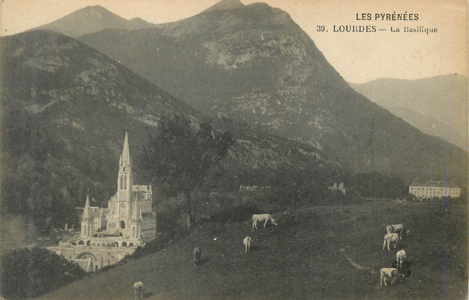 CPA Les Pyrenees Lourdes La Basilique