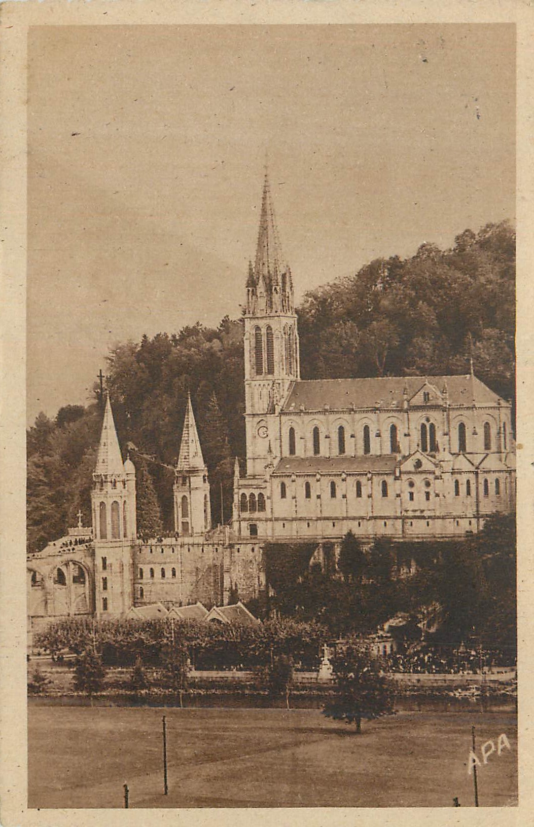 CPA Lourdes H P La Basilique et la Grotte