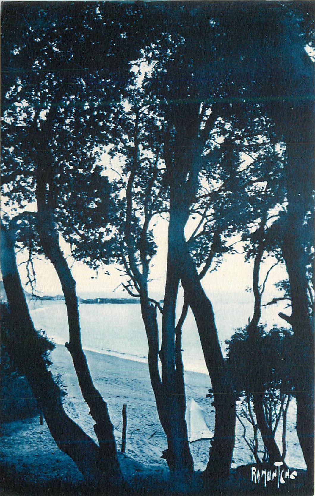 Vue de plage à travers les arbres — Ramuntche
