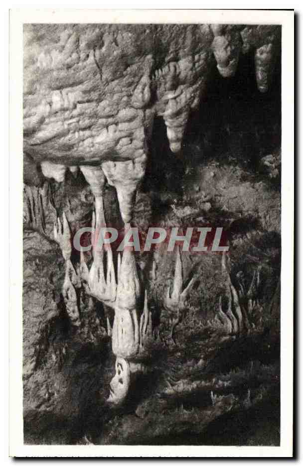 CPA GRottes de Saint Cezaire pres Grasse le squelette