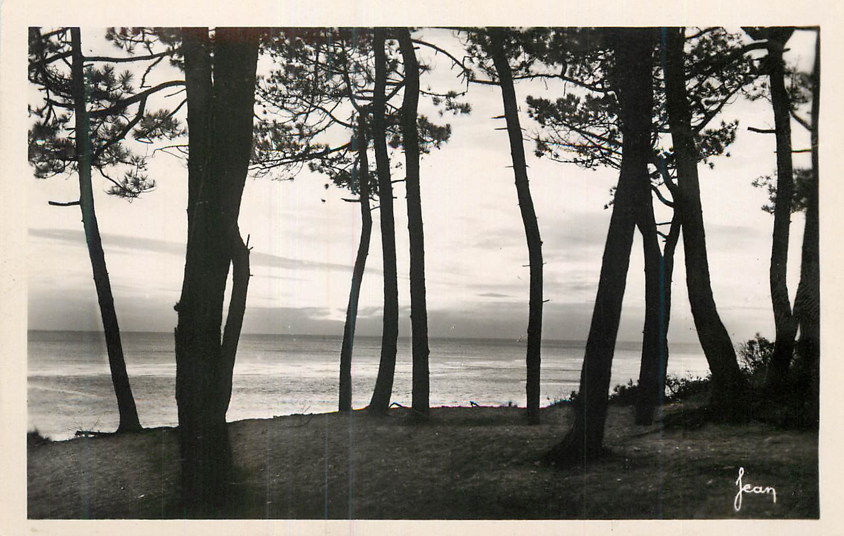Vue de la mer à travers les pins — Jean