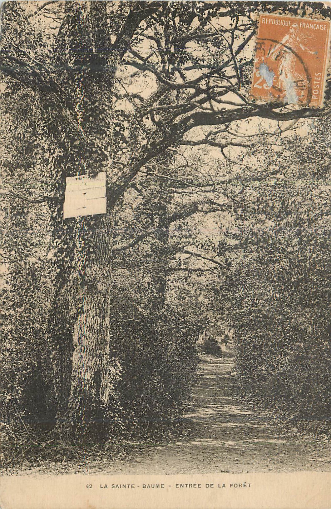 CPA La Sainte Baume Entree de Foret