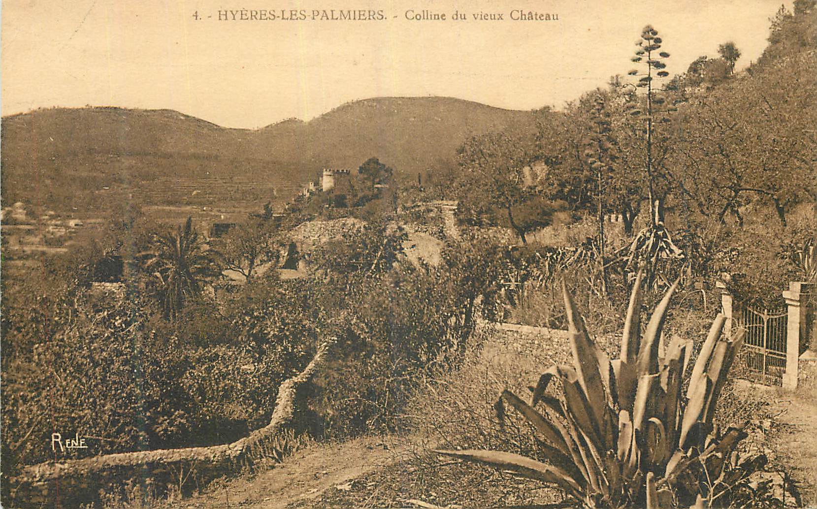 Hyères-les-Palmiers — Colline du vieux Château — éditeur RENÉ, n°4
