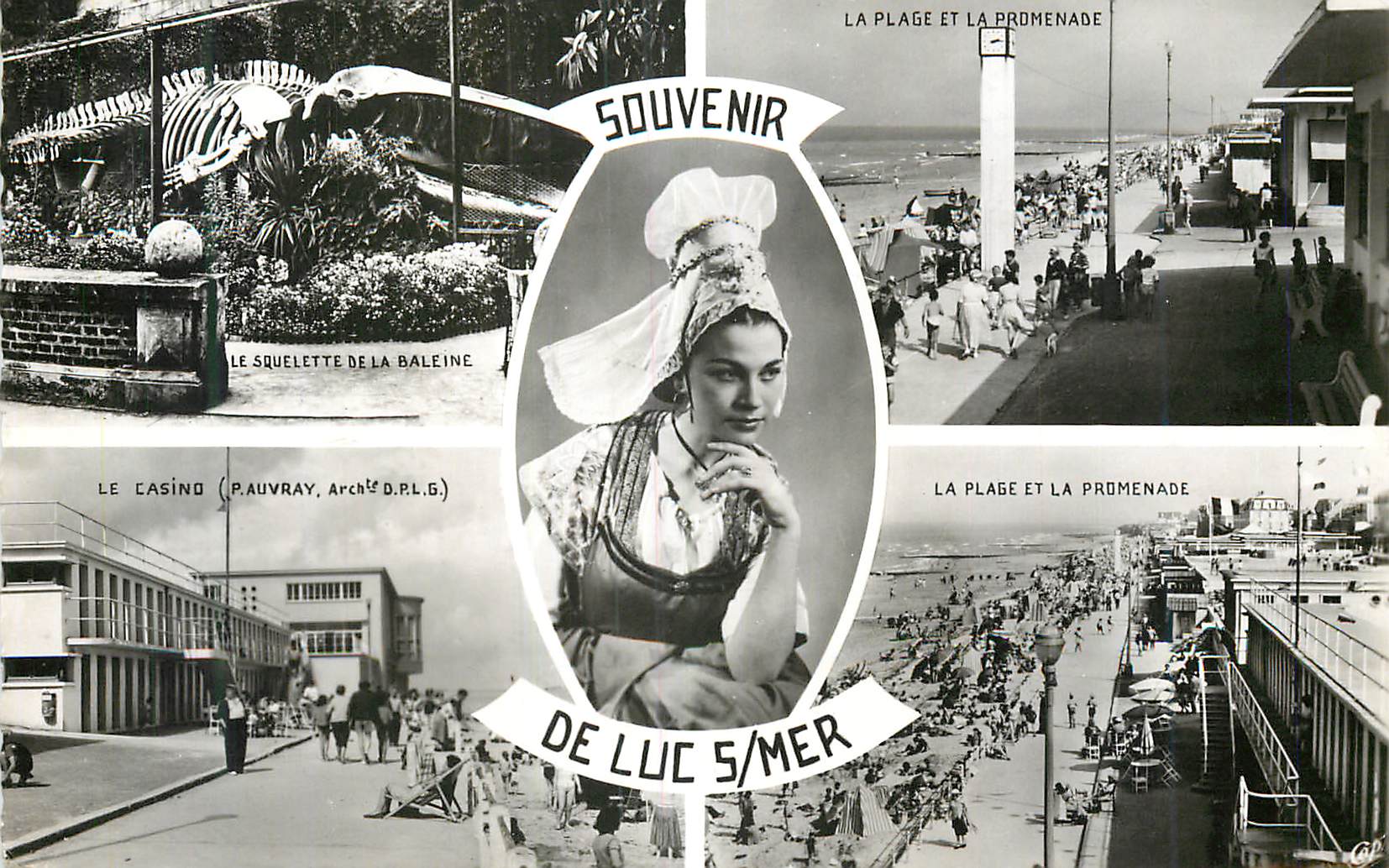 CPM Souvenir de Luc Sur Mer Baleine La plage et la promenade Le casino 