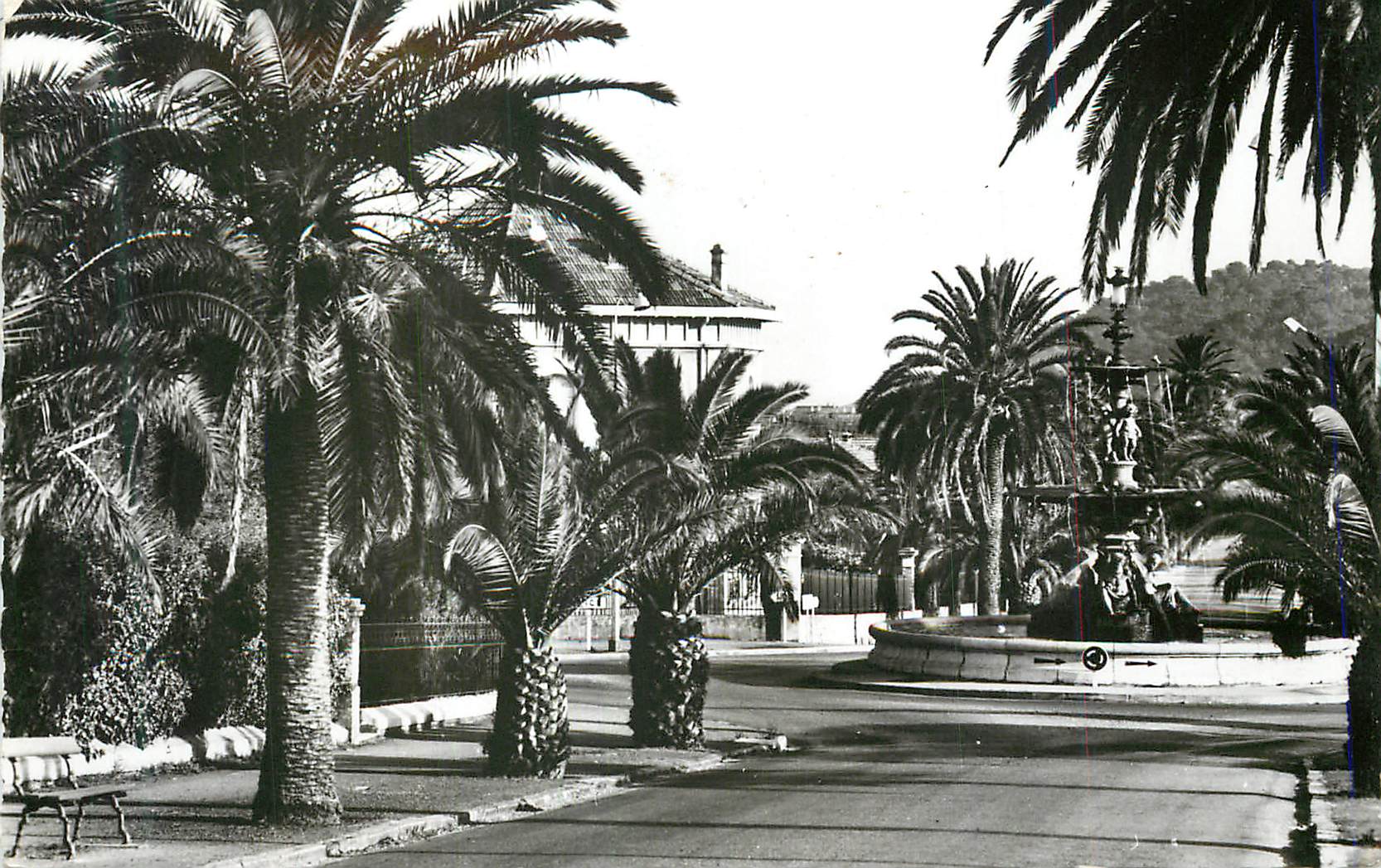 CPM Hyeres les Palm Vars Avenue et Fontaine Godillot