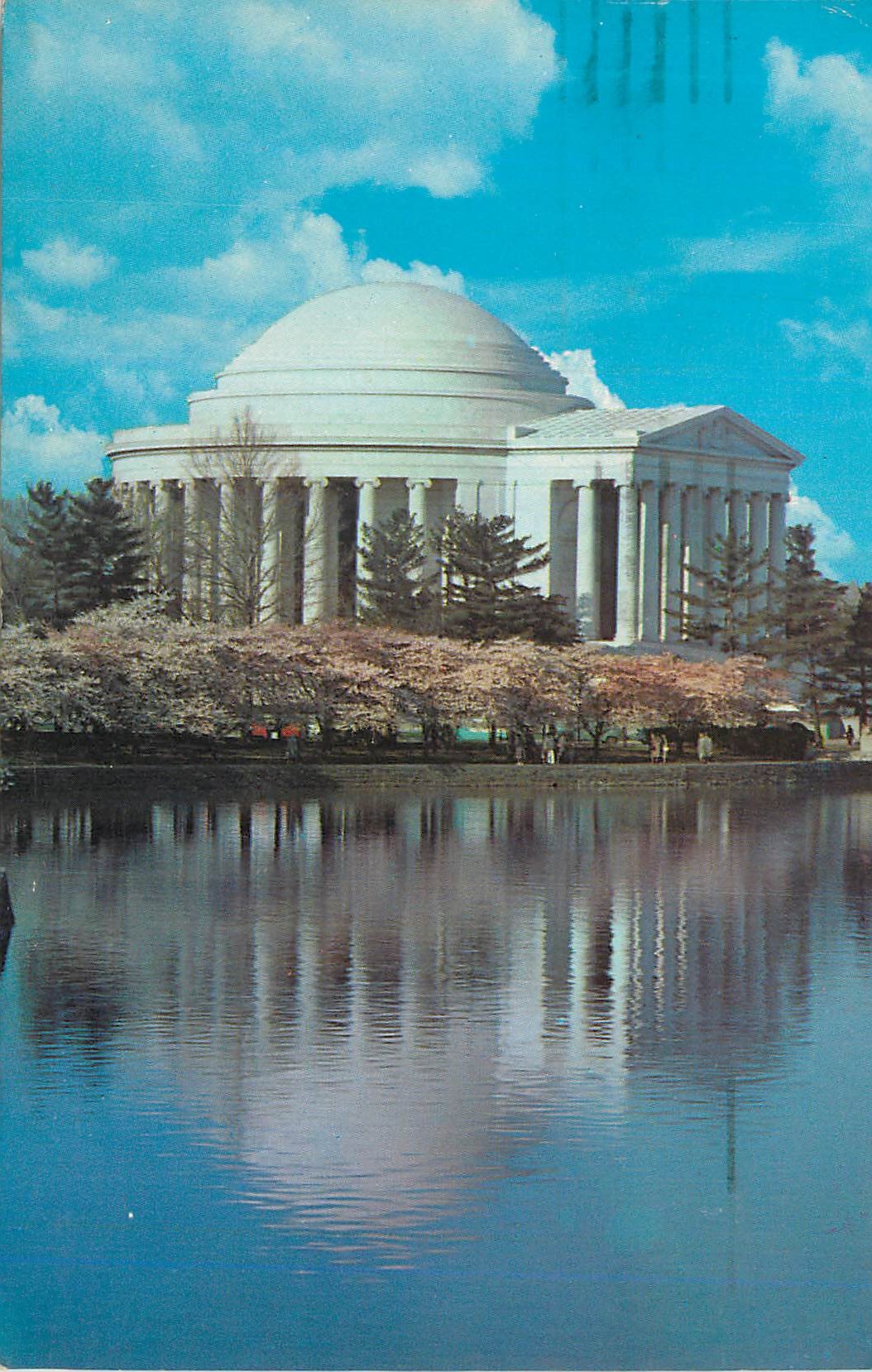 CPM The Thomas Jefferson Memorial Cherry Blossom Time Washington D C