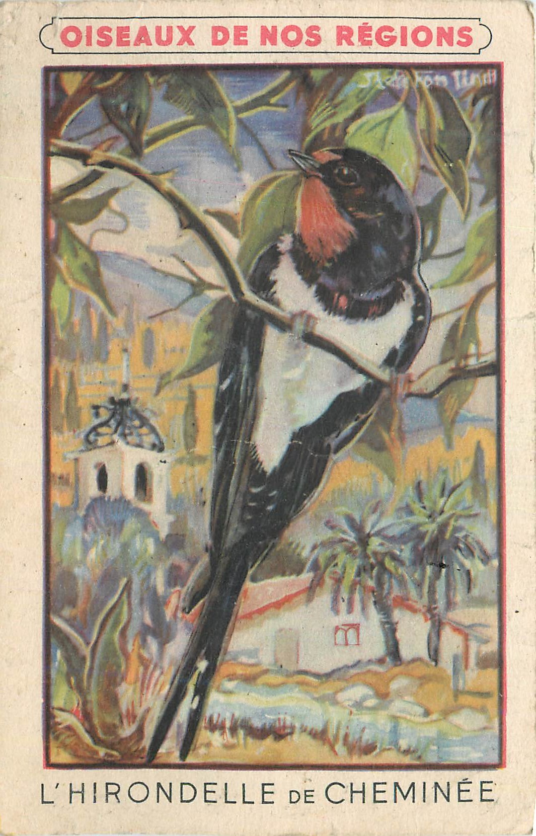CPA Oiseaux de nor regions L Hirondelle de Cheminee