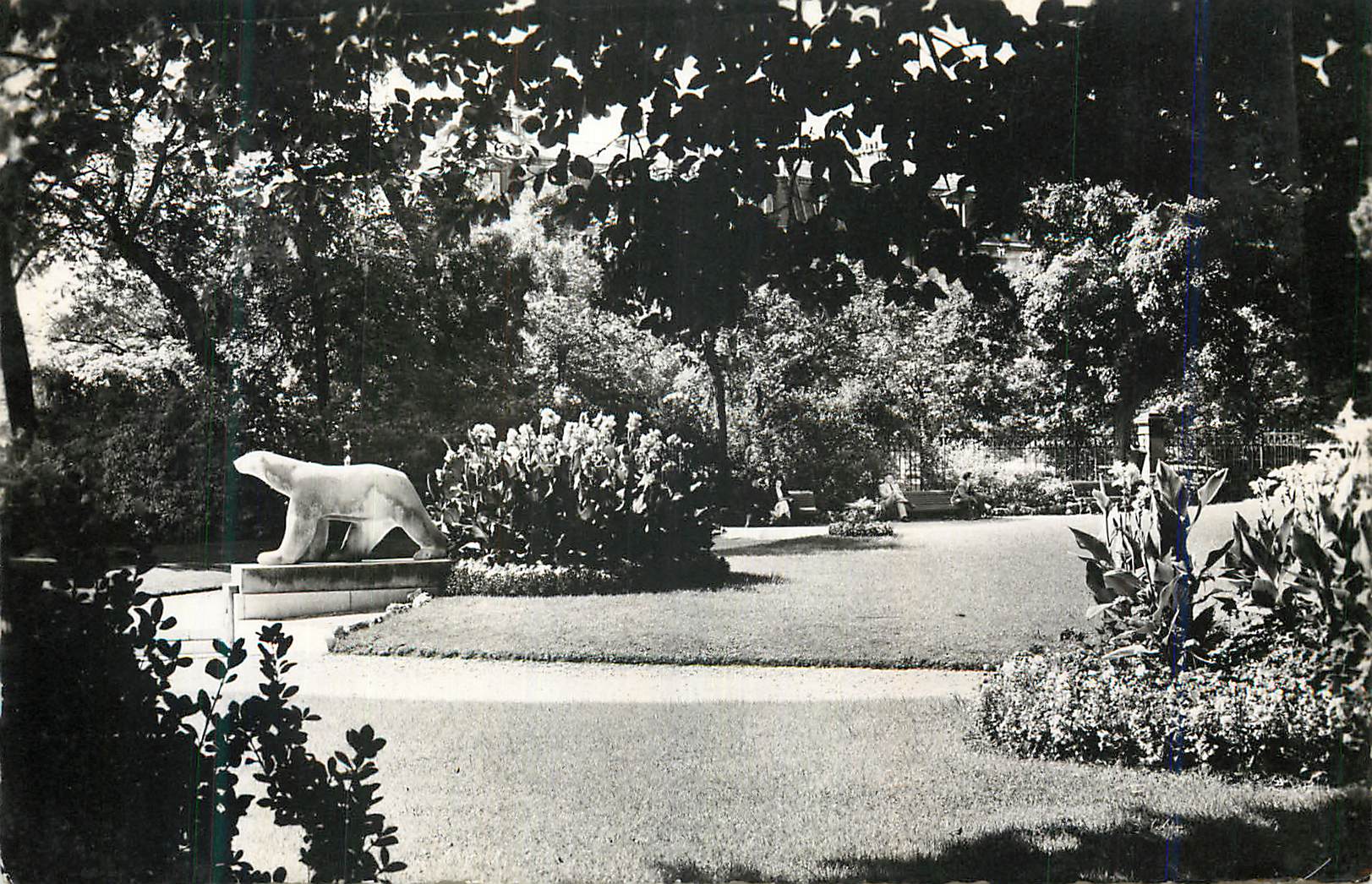 CPM Dijon Cote d Or Jardin Darcy Ours blanc