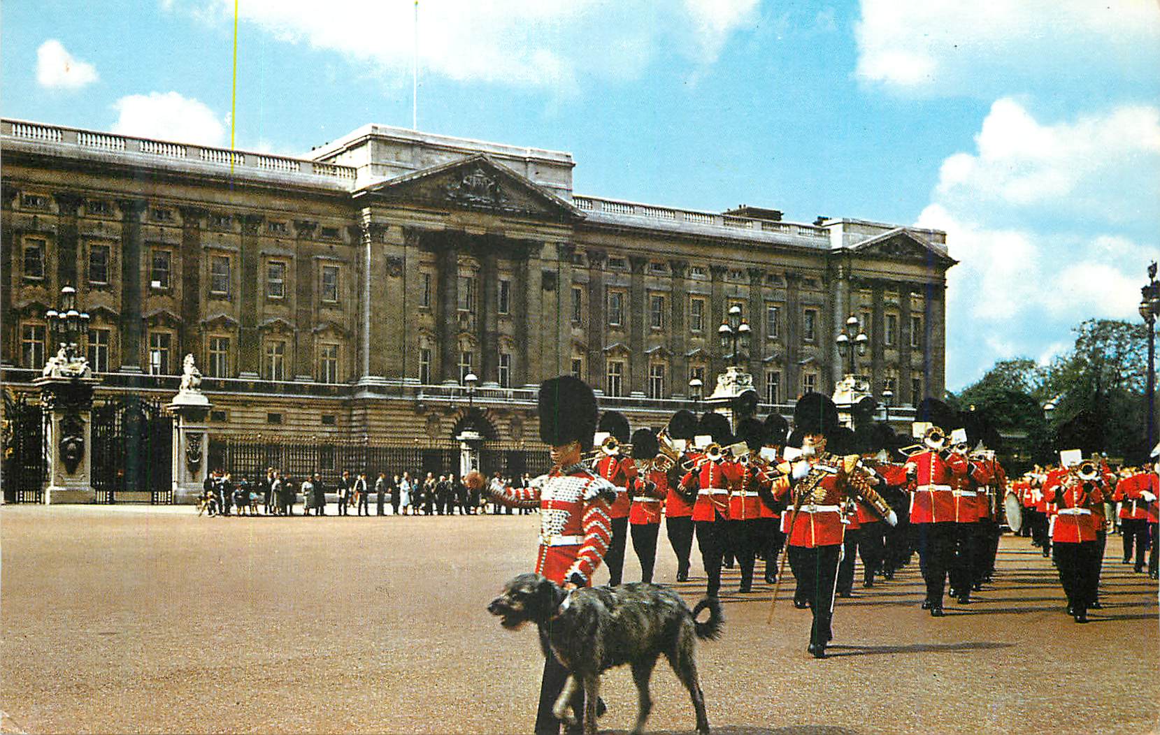 CPM Buckingham Palace London Chien Militaria