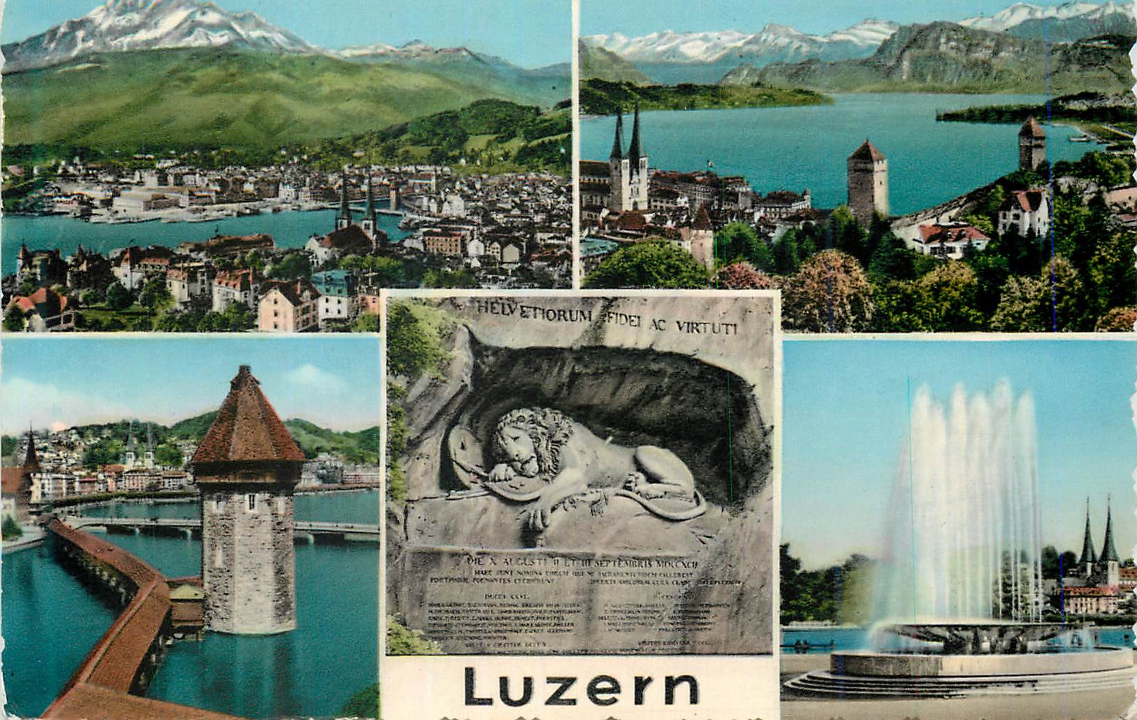 CPM Luzern Lion