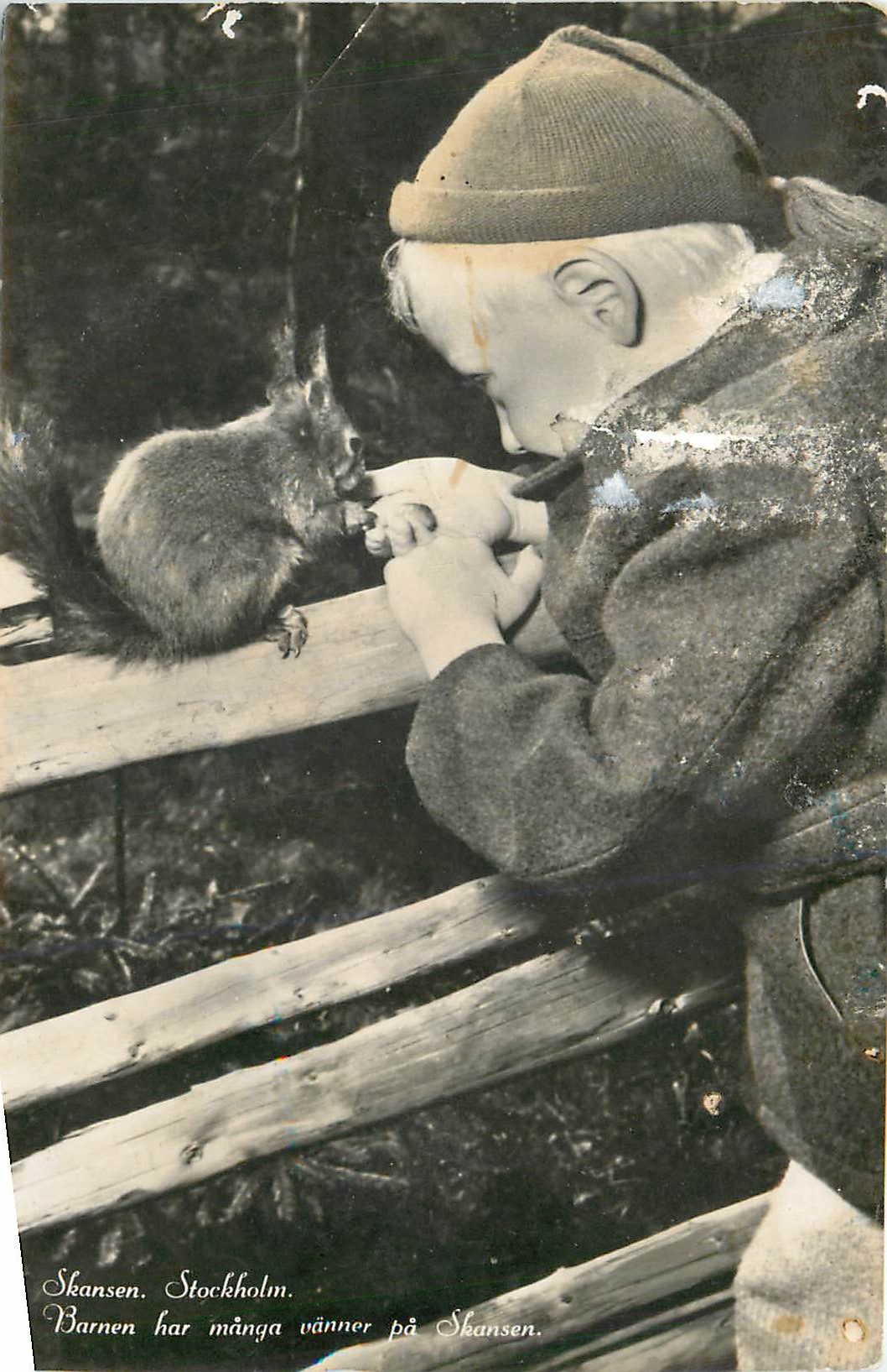 Enfant et écureuil à Skansen — Stockholm — texte imprimé