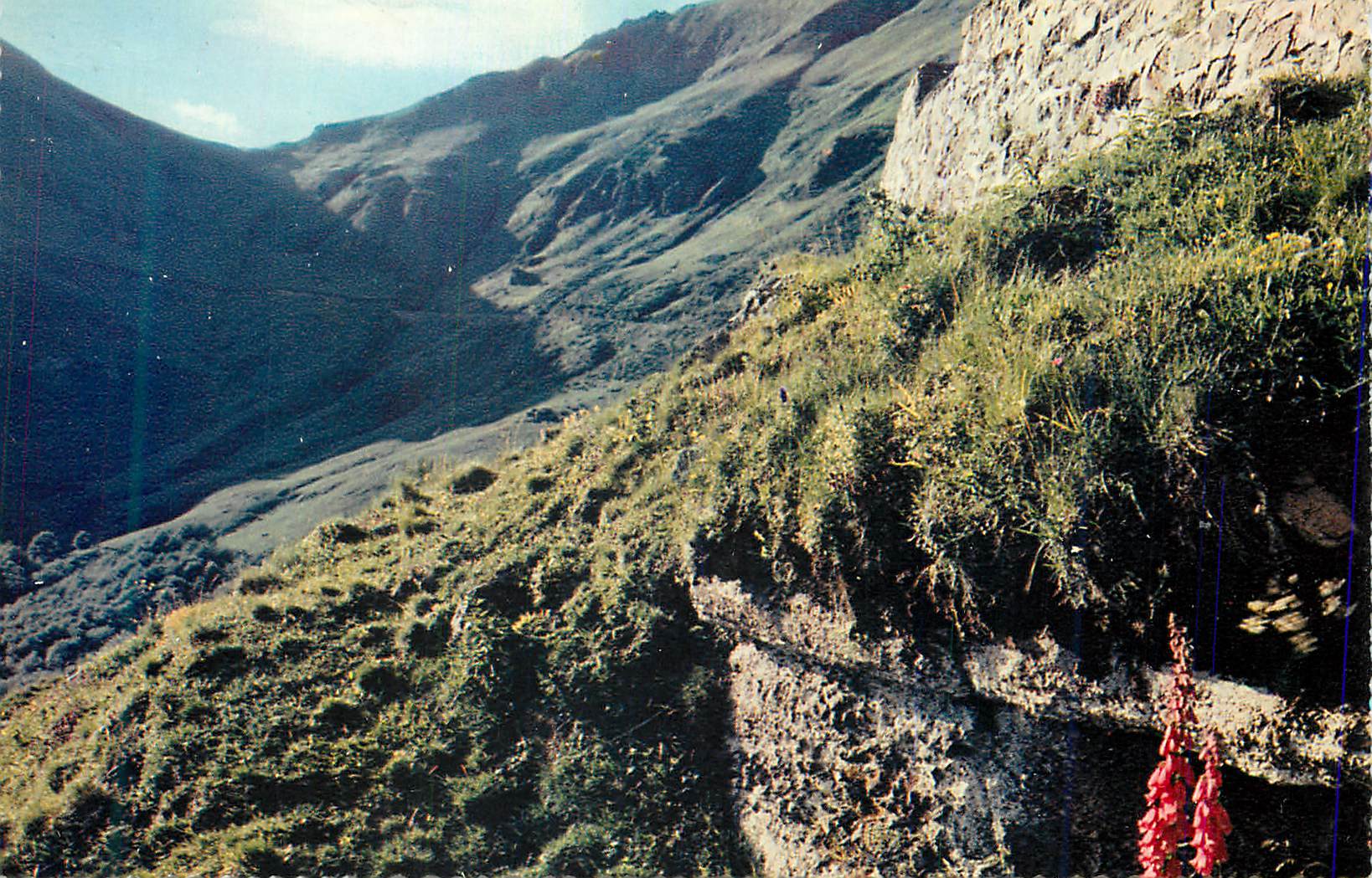 Vue de montagne — paysage alpin avec fleur rouge — sans éditeur ni numéro visible