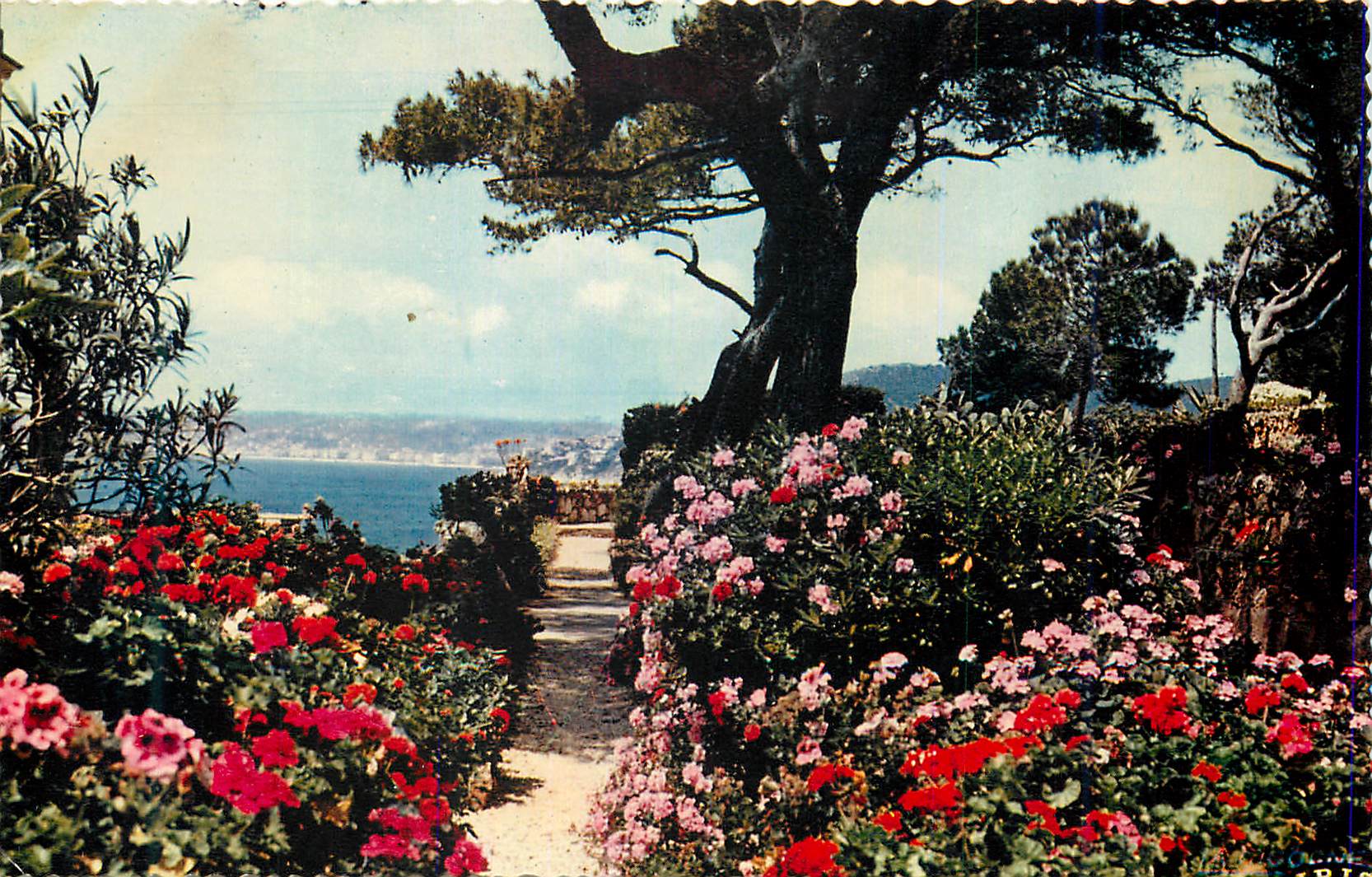 CPM Jardins fleuris sur les bords de la Mediterranee