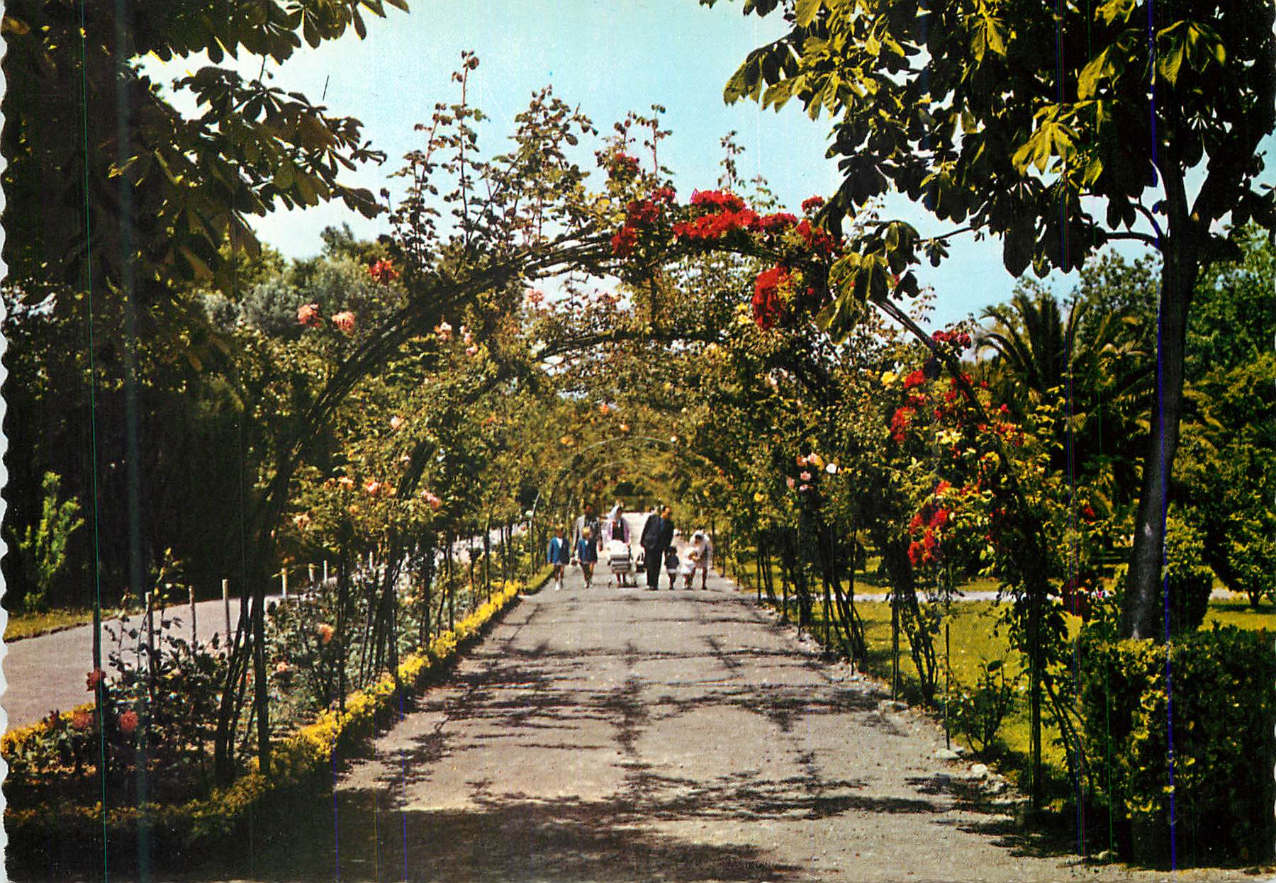 CPM Gijon Asturias Parque de Isabel La Catolica Rosaleda