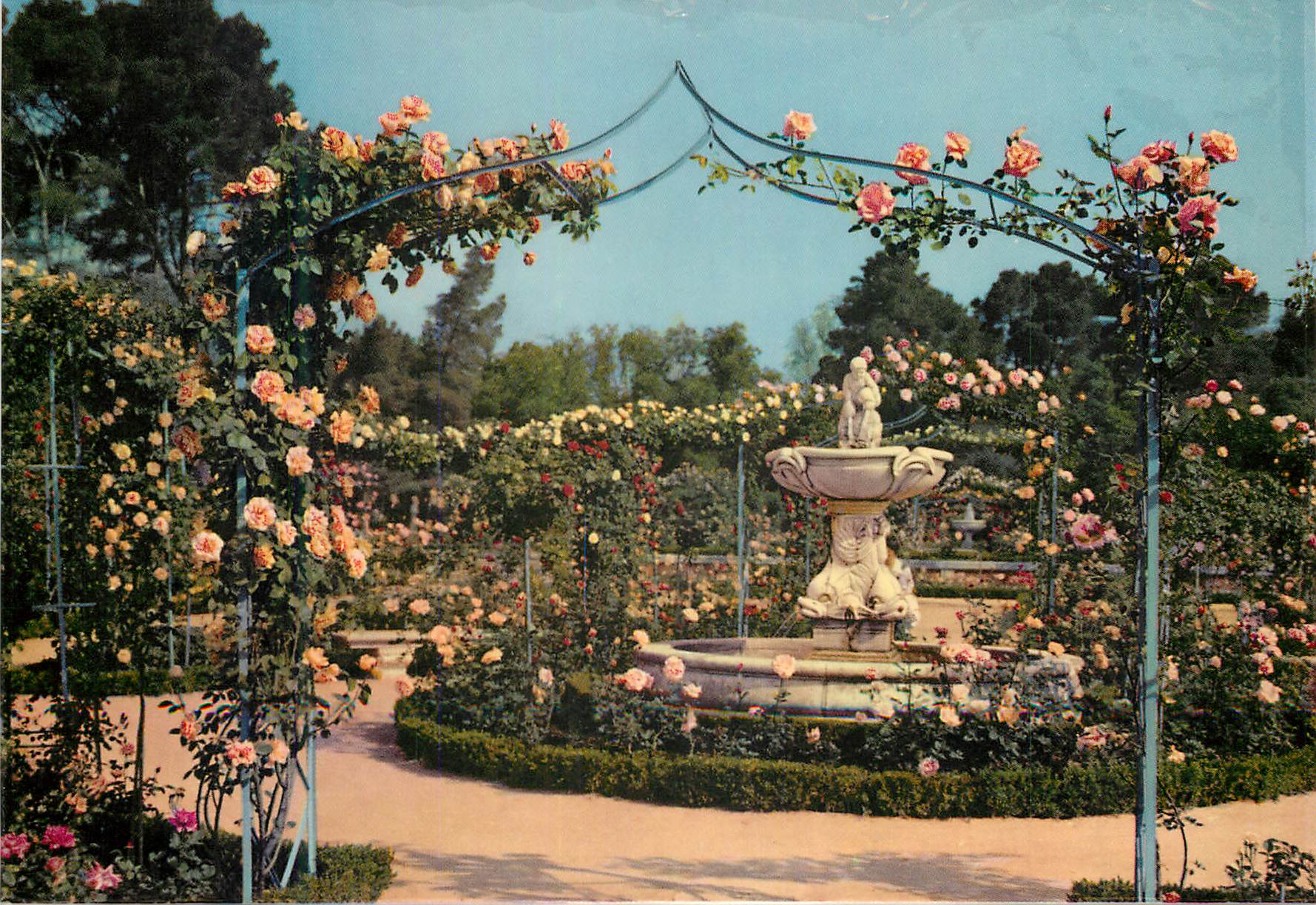 CPM Madrid Parc du Retiro La Rosaraie