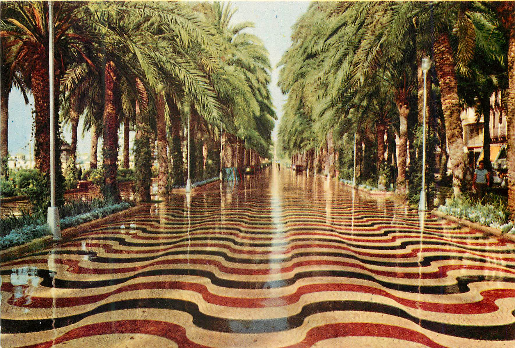 CPM Alicante Esplanade d Espagne