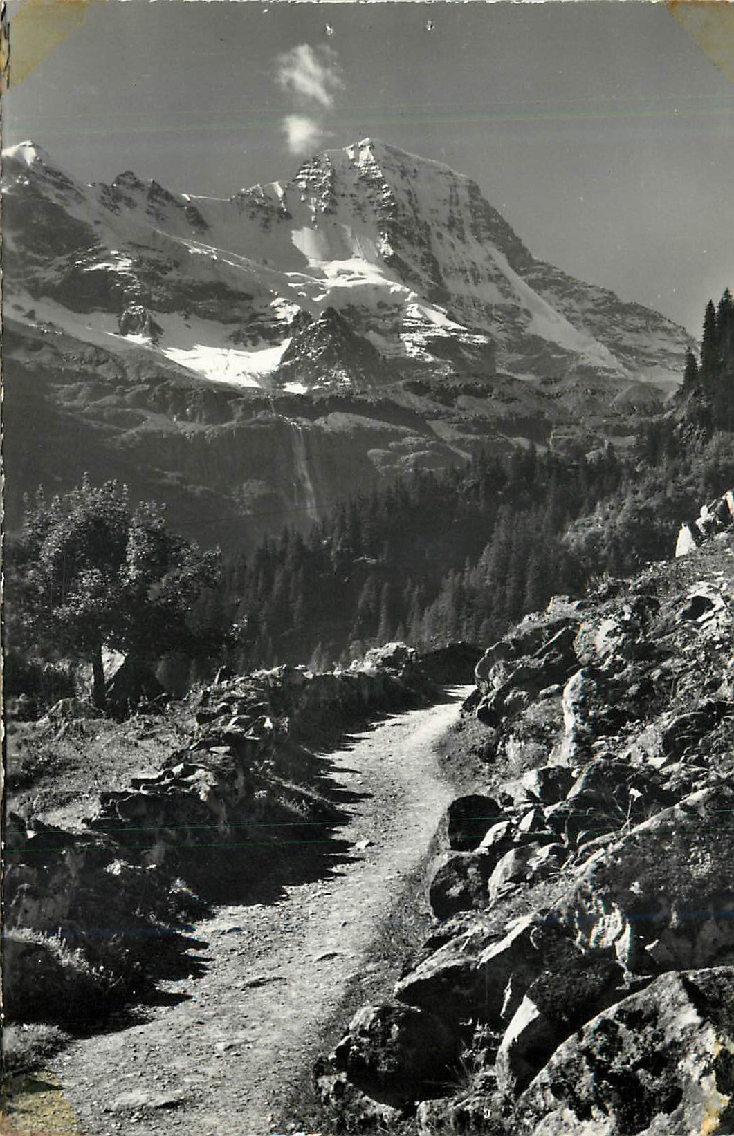 CPM Bei Trachsellauenen Lauterbrunnen Breithorn