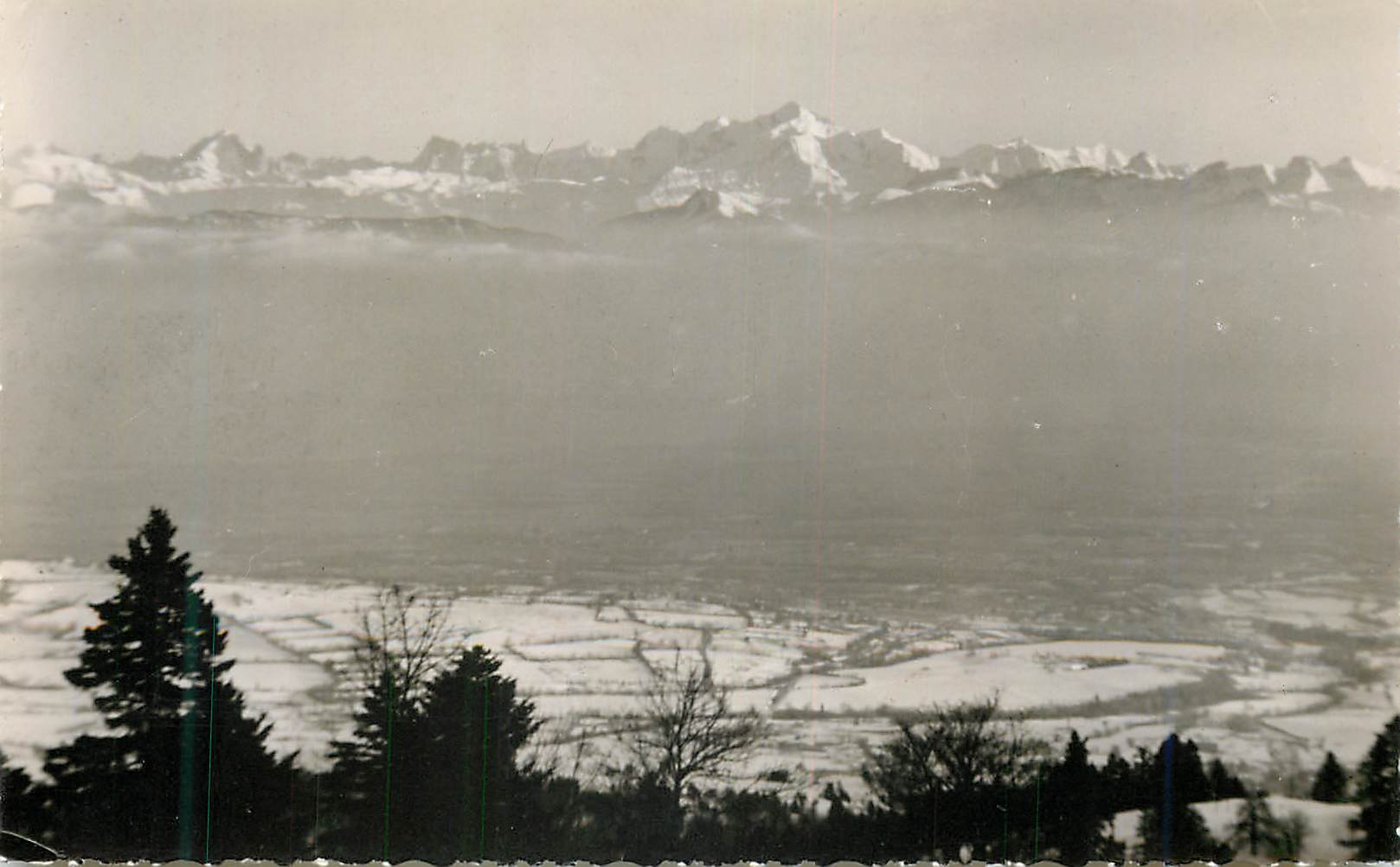 CPM La Route Blanche Paris Dijon Gex Geneve La Mer de Brouillards et les Alpes pris du Col de la Faucille