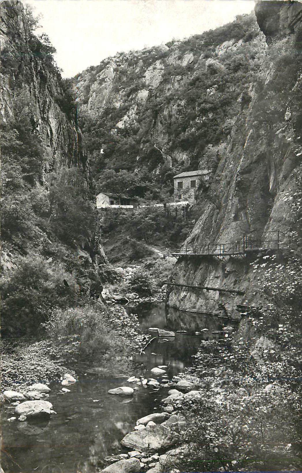CPM Amelie les Bains (P O) Les Gorges du Mondony Au Fond le Belvedere