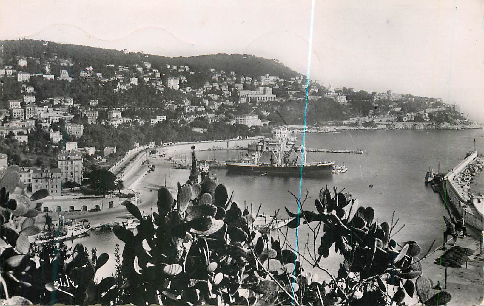 CPM Nice Vue Generale sur Le Port et le Mont Boron Bateaux