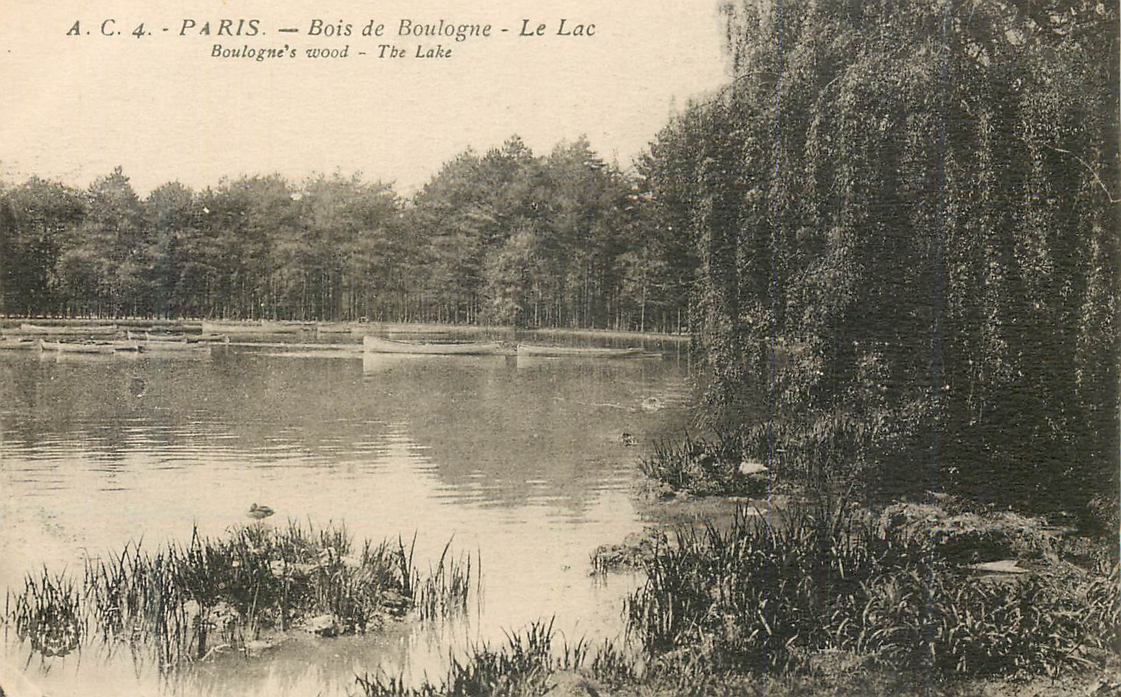 CPA Paris Bois de Boulogne Le Lac