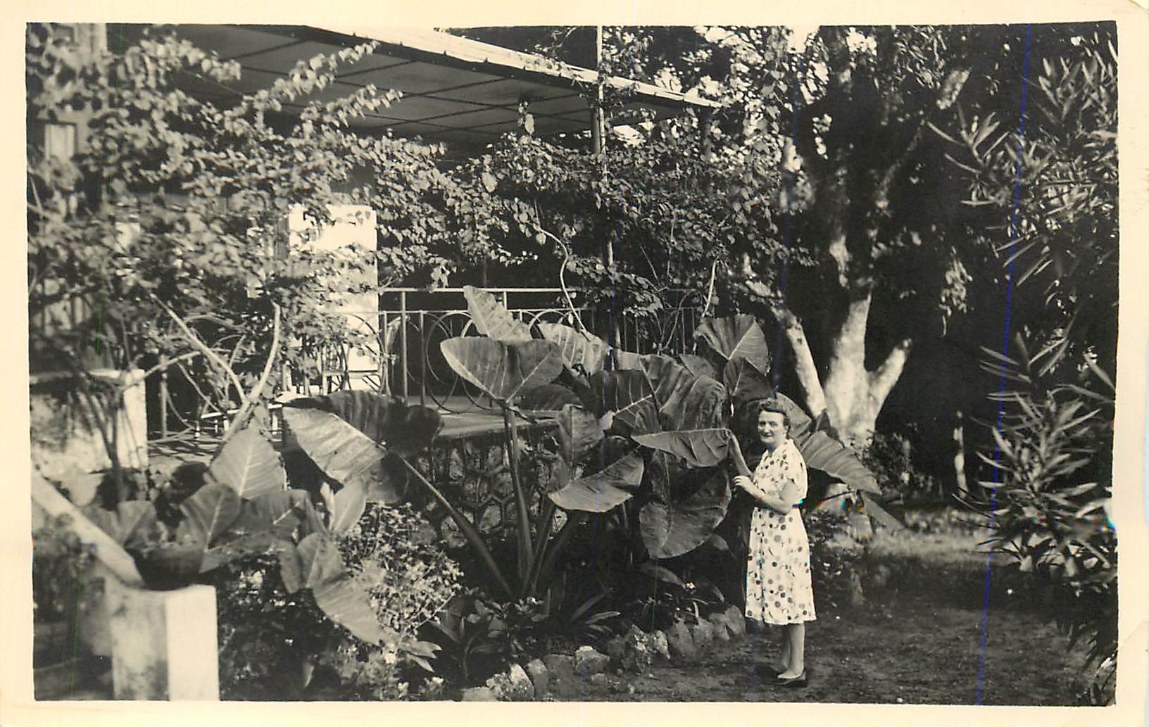 Photo Femme Plantes exotiques