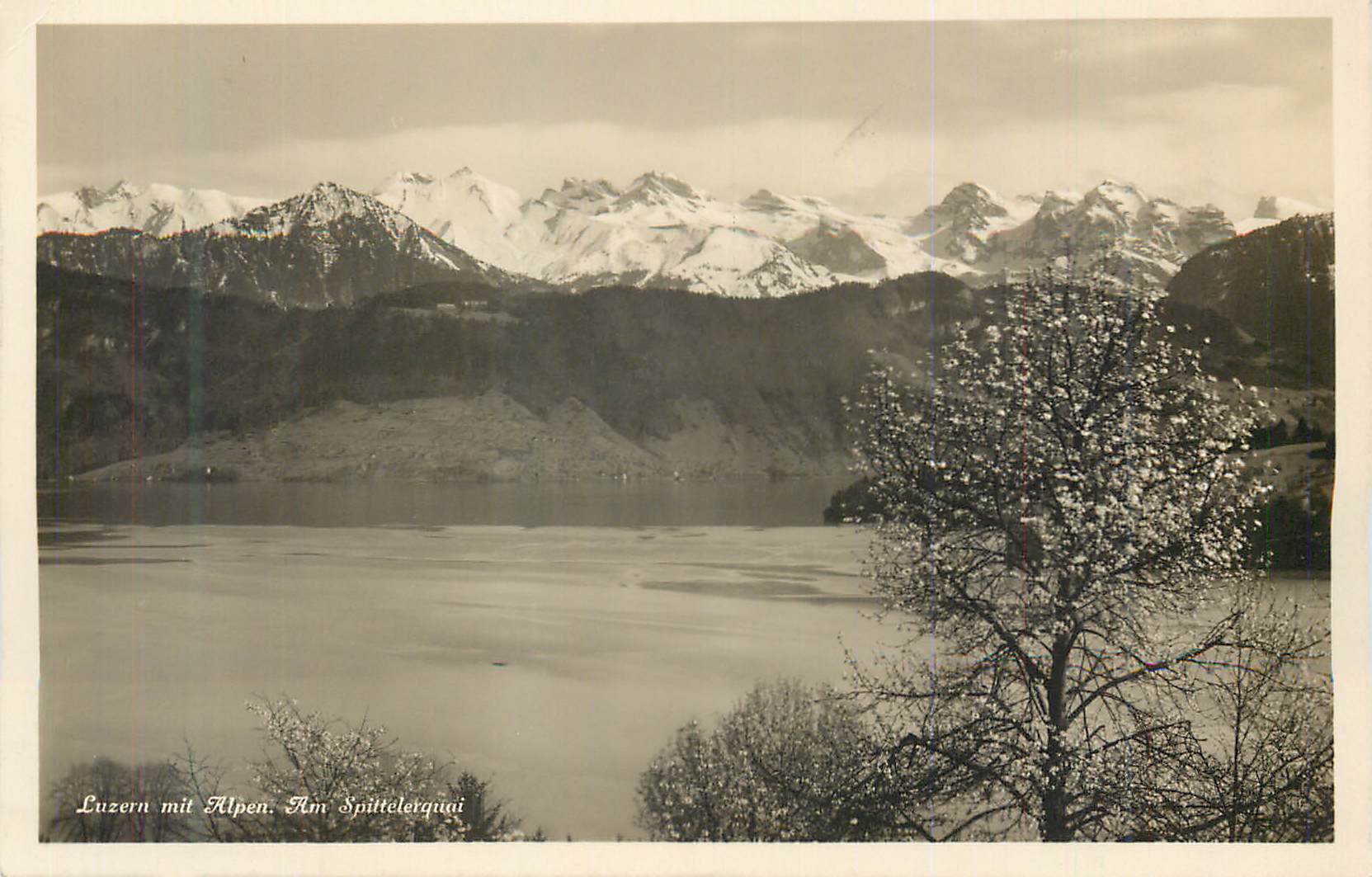 Luzern with the Alps. At Spittelerquai — lake view with snow-capped mountains