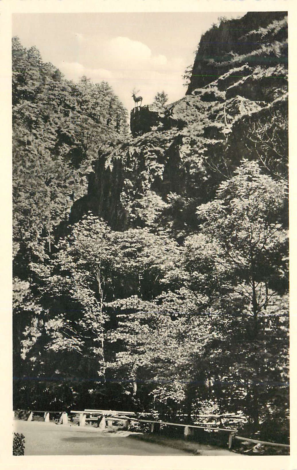CPM Hollental im Schwarzwald Hirschsprung