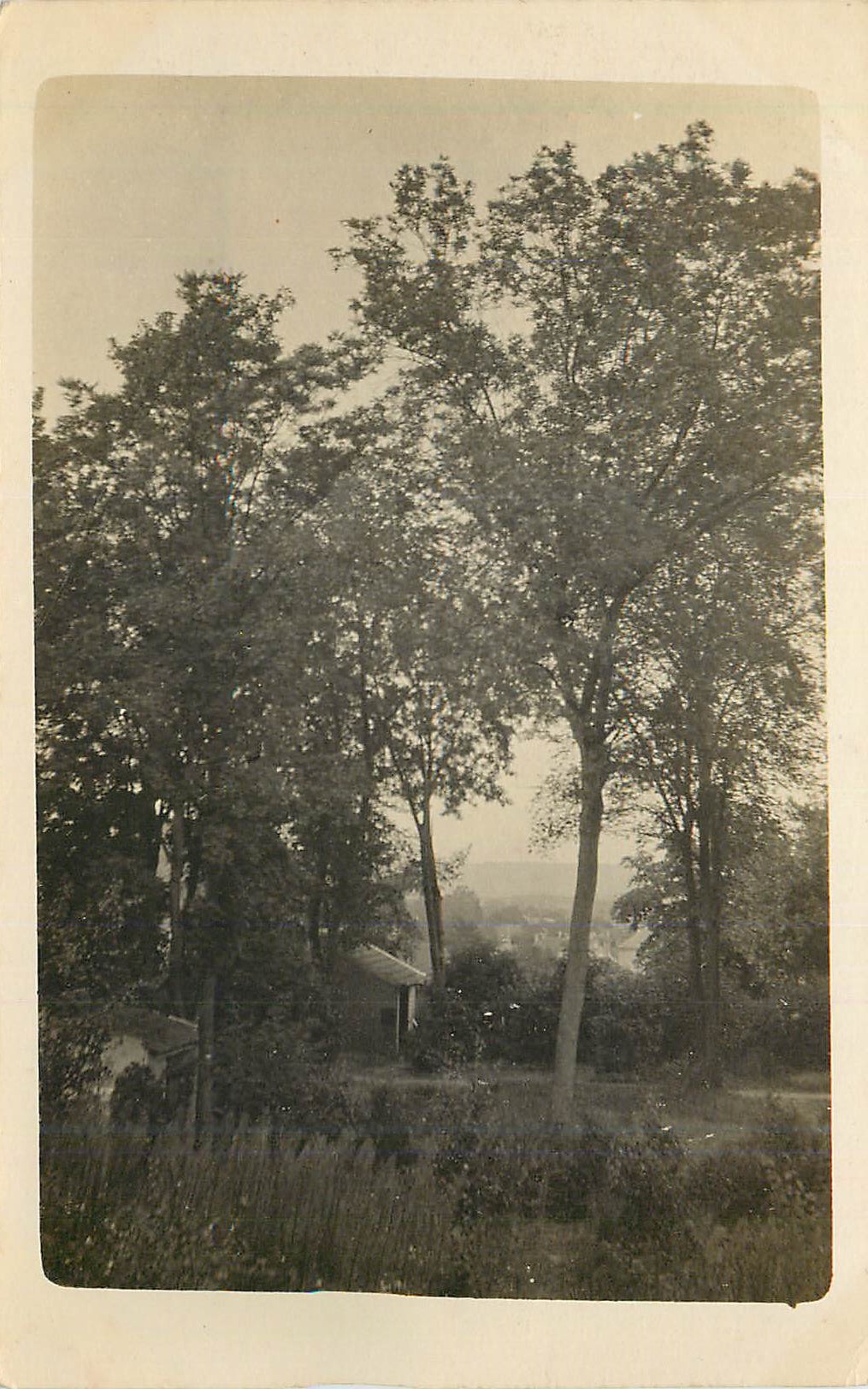 Vues de forêt — paysage rural — éditeur non identifié - Recto