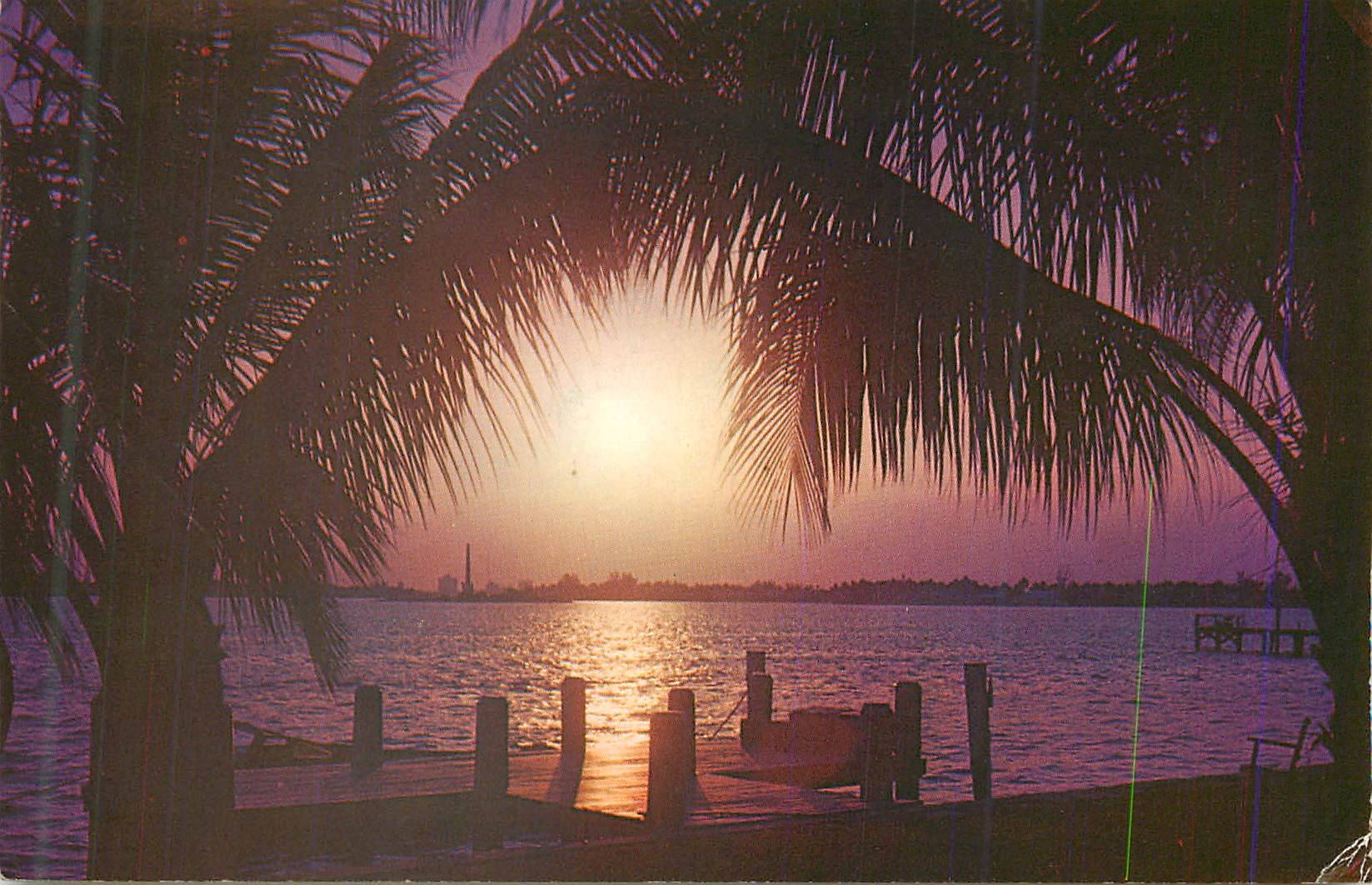 CPM Florida Sunset
