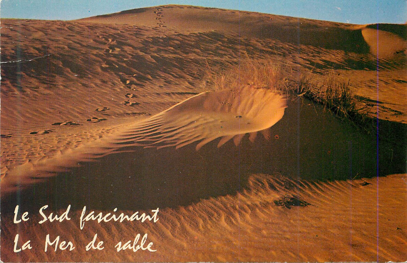 Dunes du Sud — Le Sud fascinant, La Mer de sable