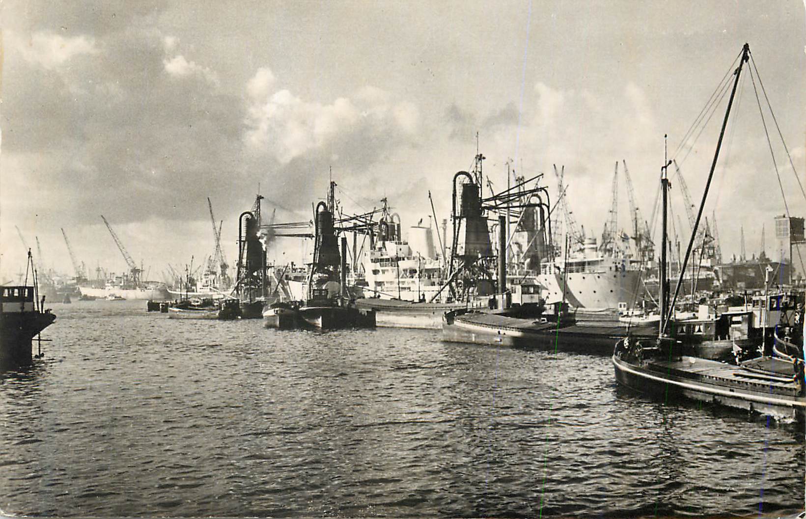 CPM Rotterdam Vue du Port Bateaux