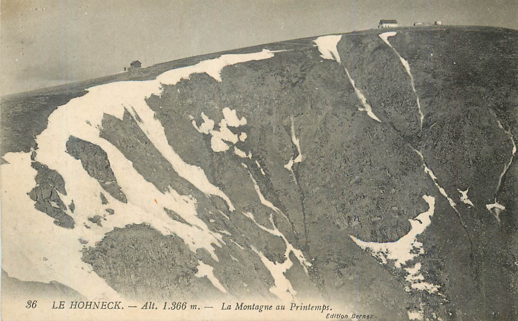 CPA Le Hohneck Alt 1366 m La Montaigne au Printemps