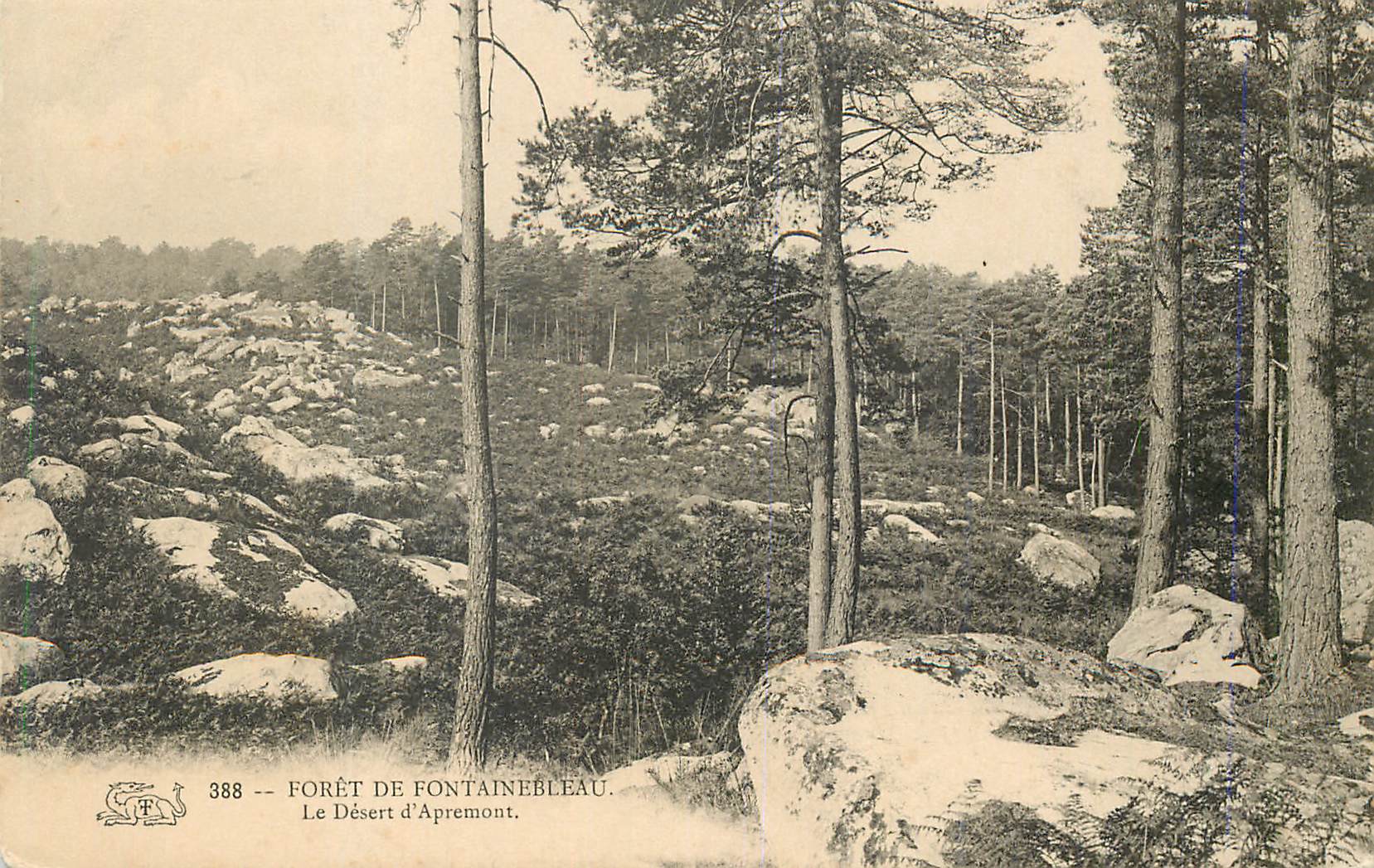 Foresta di Fontainebleau — Il Deserto di Apremont — n° 388