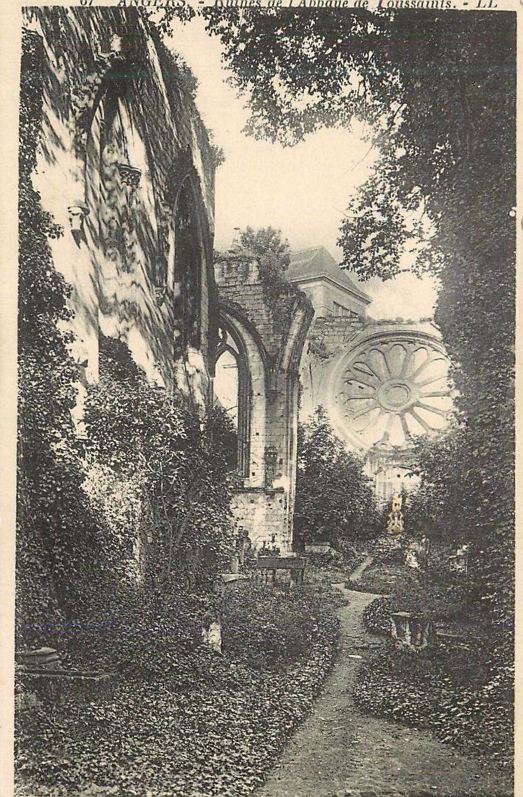 CPA Angers Ruines de l'abbaye de Toussaints