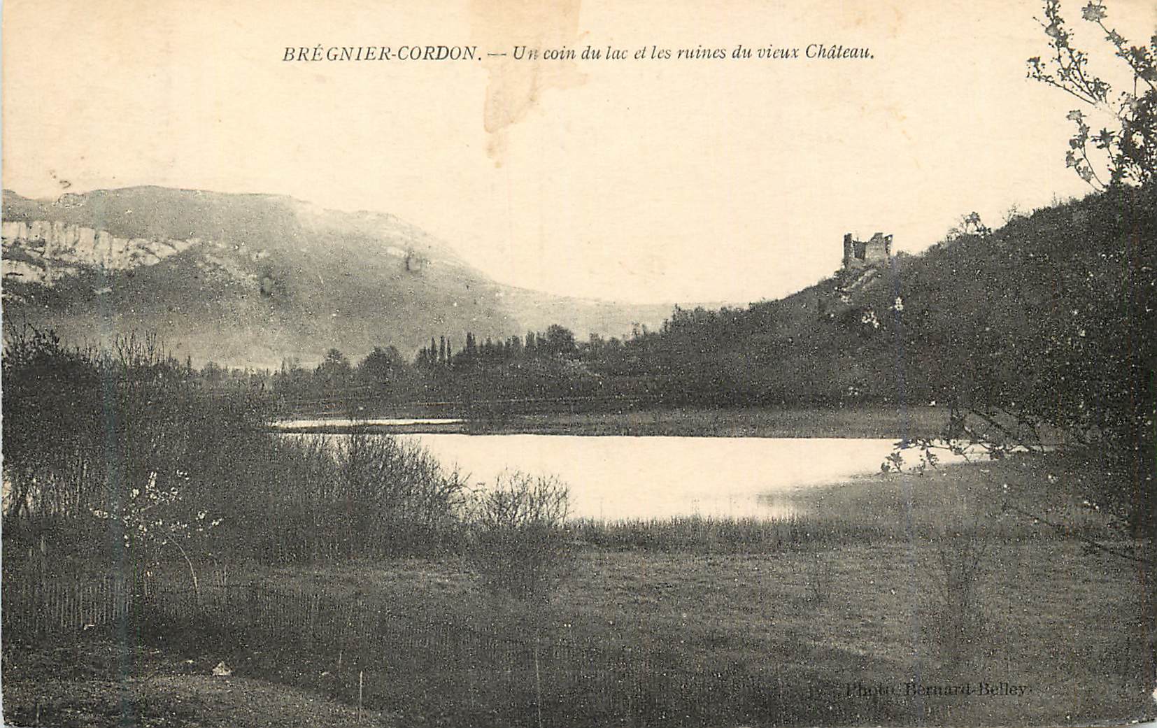CPA Bregnier Cordon Un Coin du Lac et les Ruines du Vieux Chateau