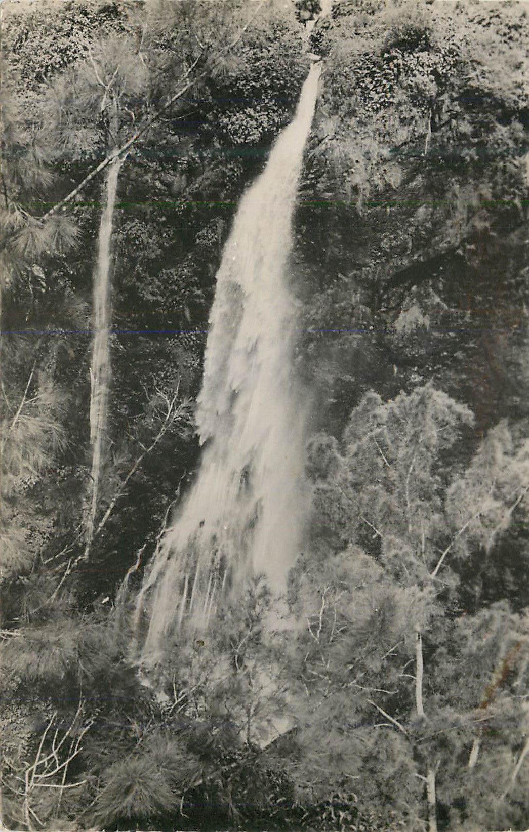 CPM Ile de la Reunion Salazie Cascade du Voile de la Mariee