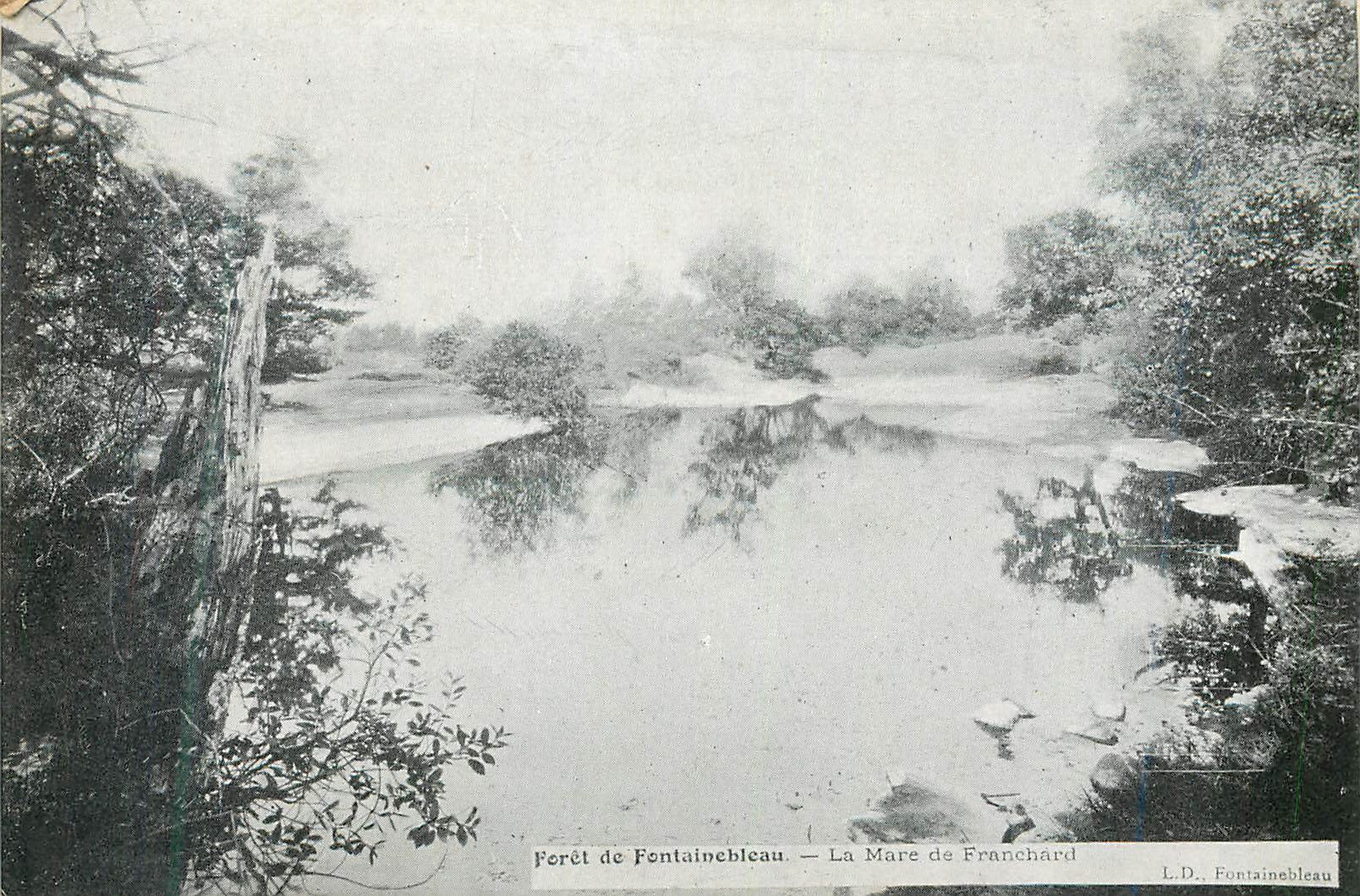 Forêt de Fontainebleau — La Mare de Franchard — L.D. Fontainebleau