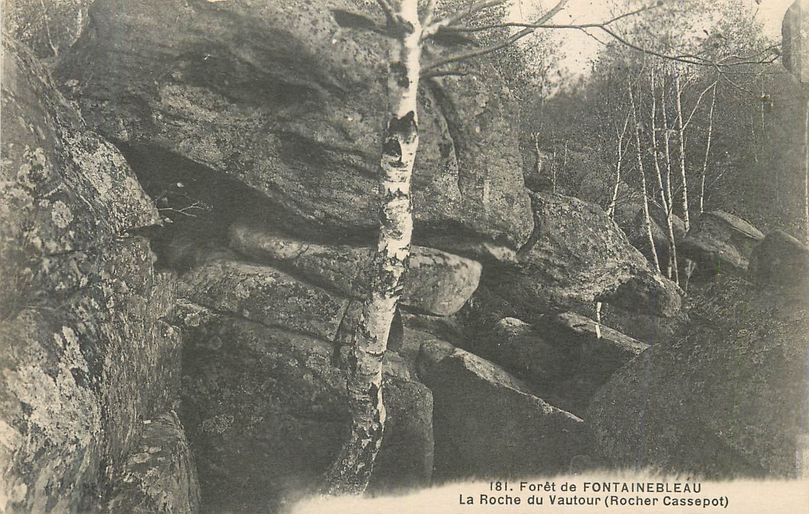 Der Felsen des Vautour (Zerbrochener Felsen) — Forêt de Fontainebleau — Nr. 181