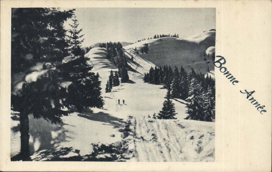 CPA Bonne annee (montagne ski)