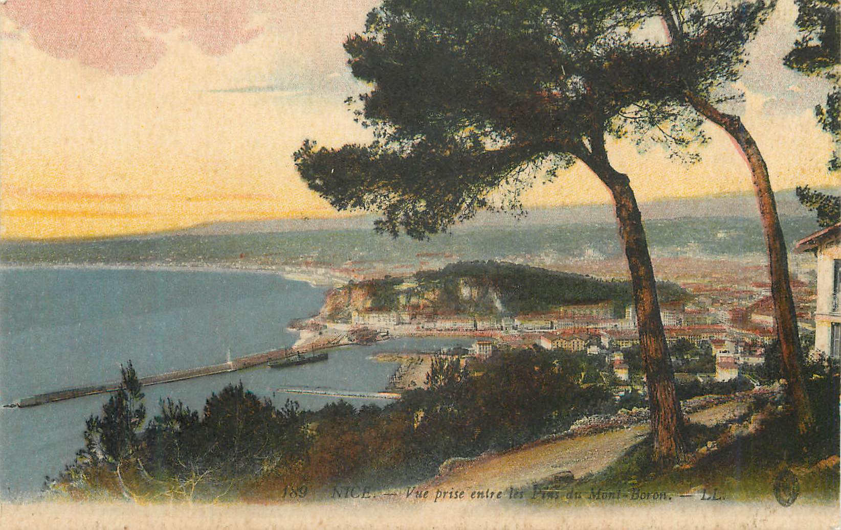 CPA Nice Vue prise entre les Pins de Mont Boron