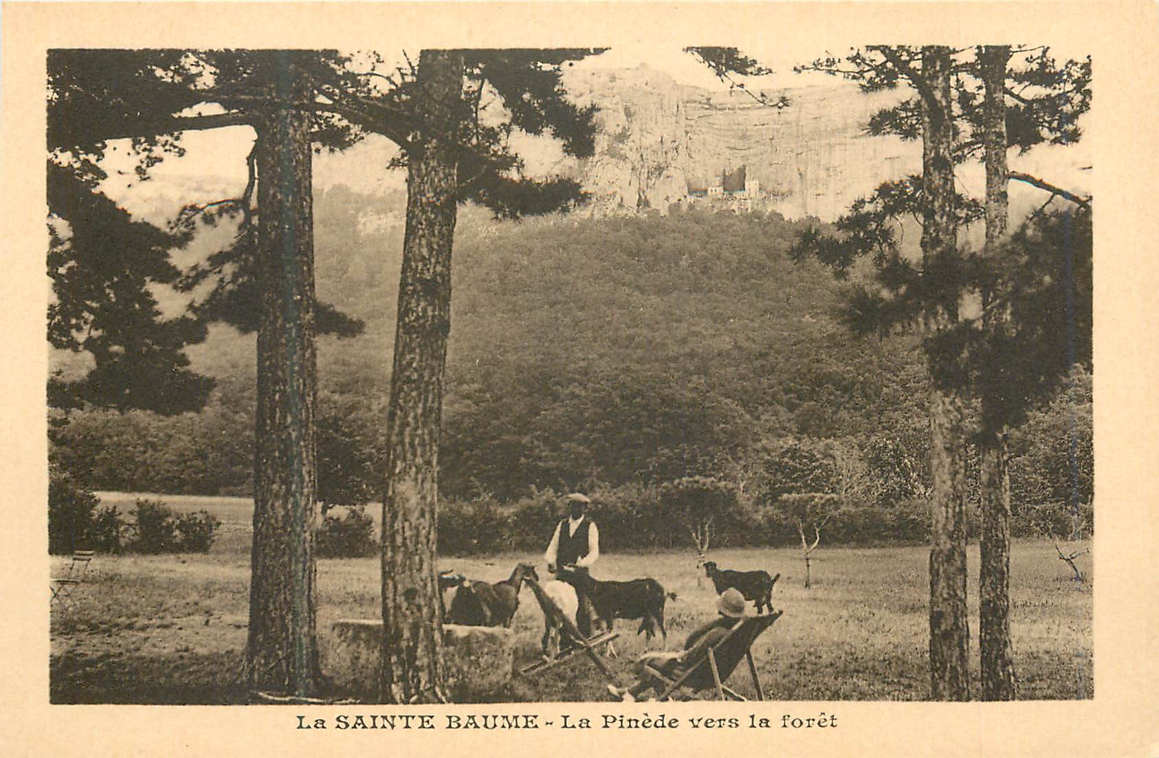 CPA La Sainte Baume La Pinede vers la foret Chevres Chevre